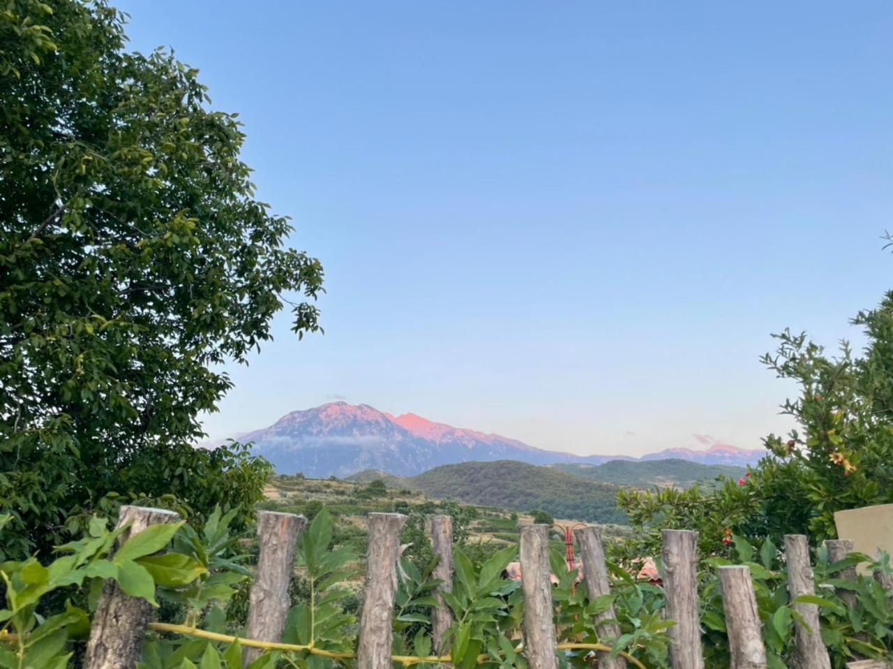 Alpeta Agrotourism & Winery - Roshnik , Berat