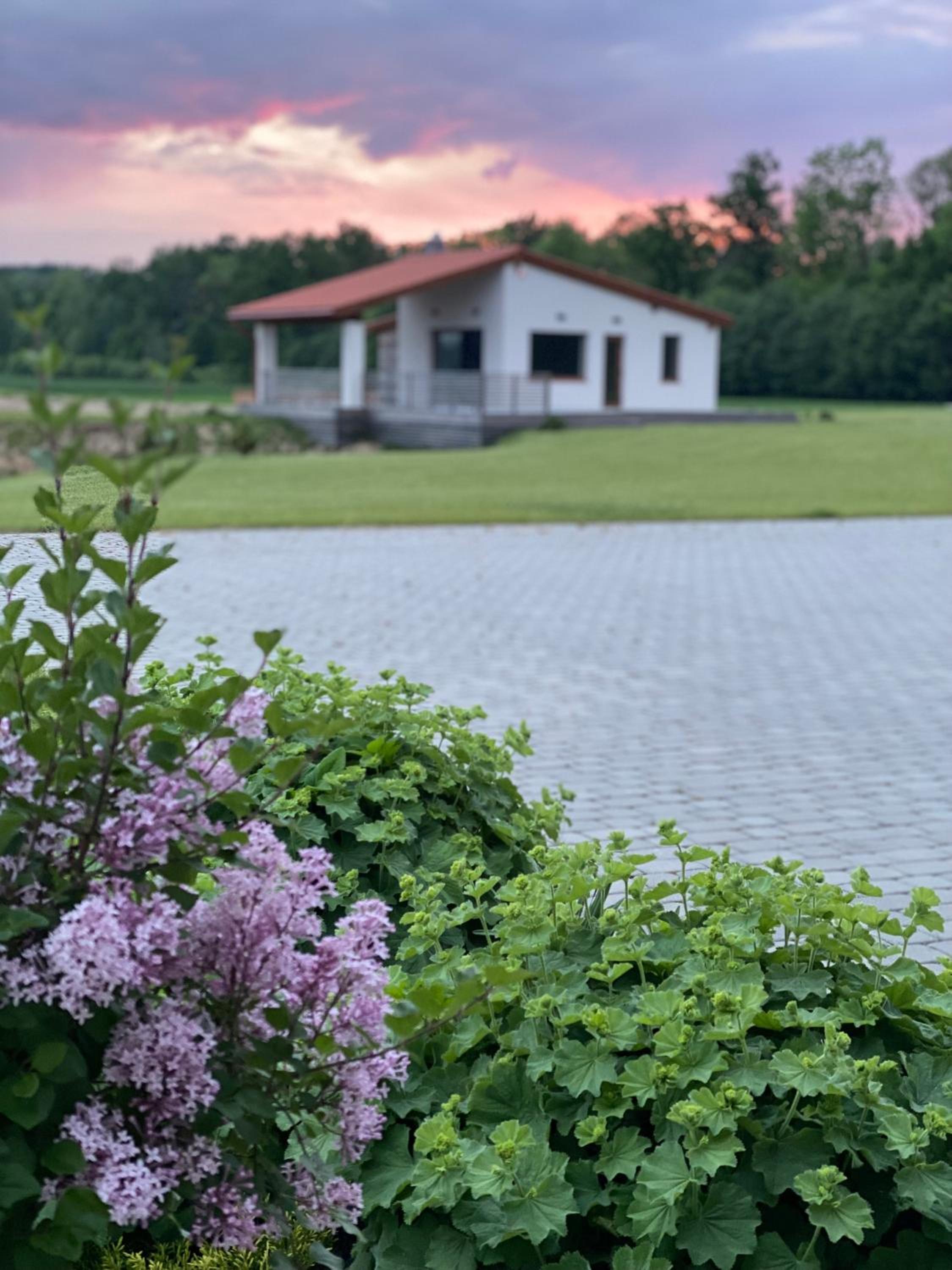 Sodyba Pelėdų medus view 3