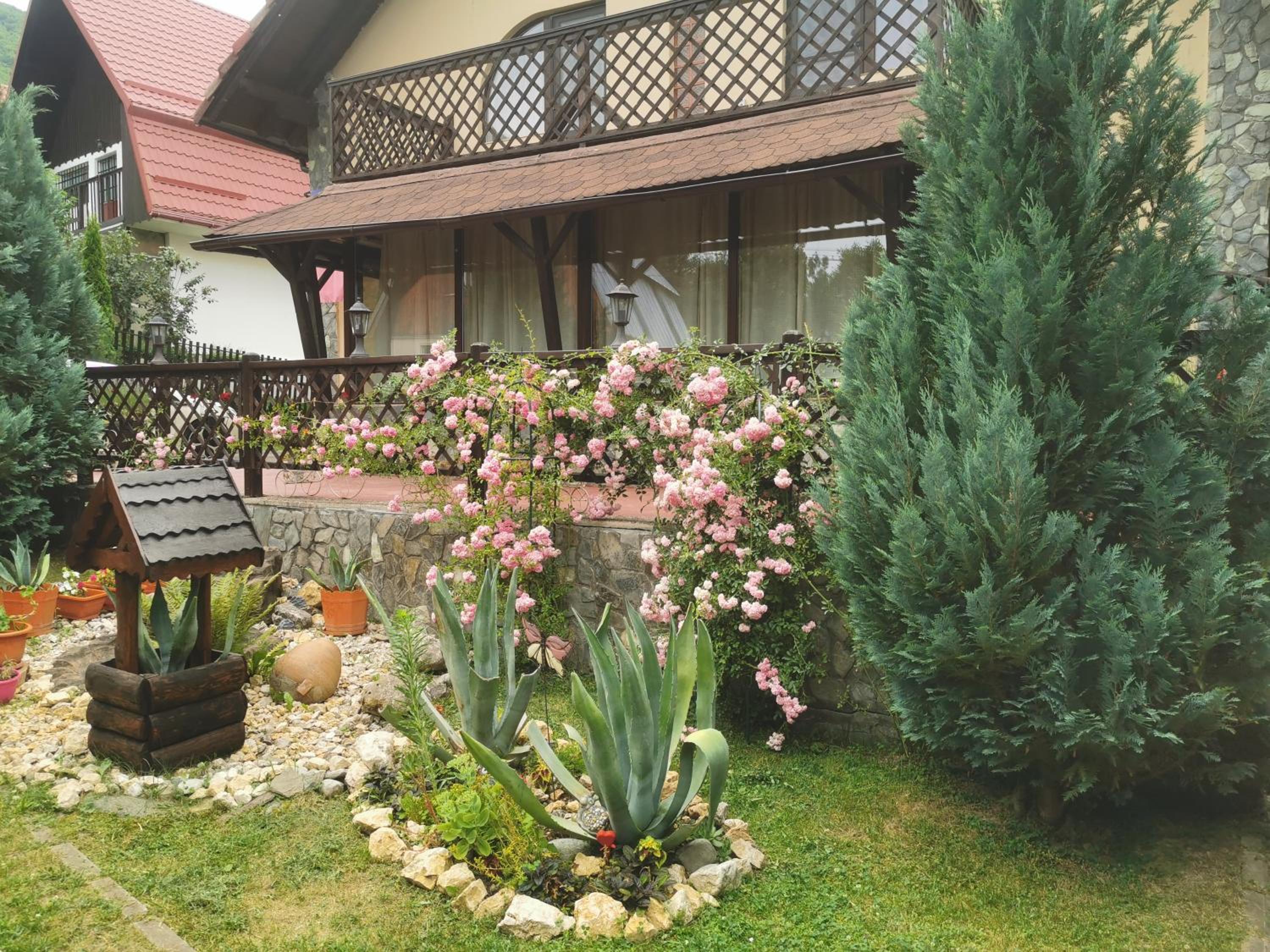 Casa Veveritelor view 4