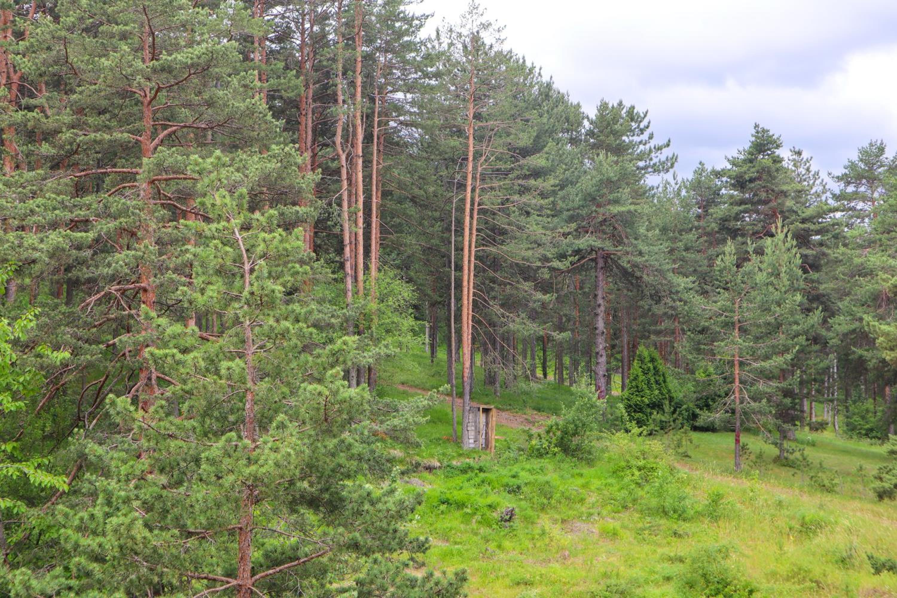 Photo 32