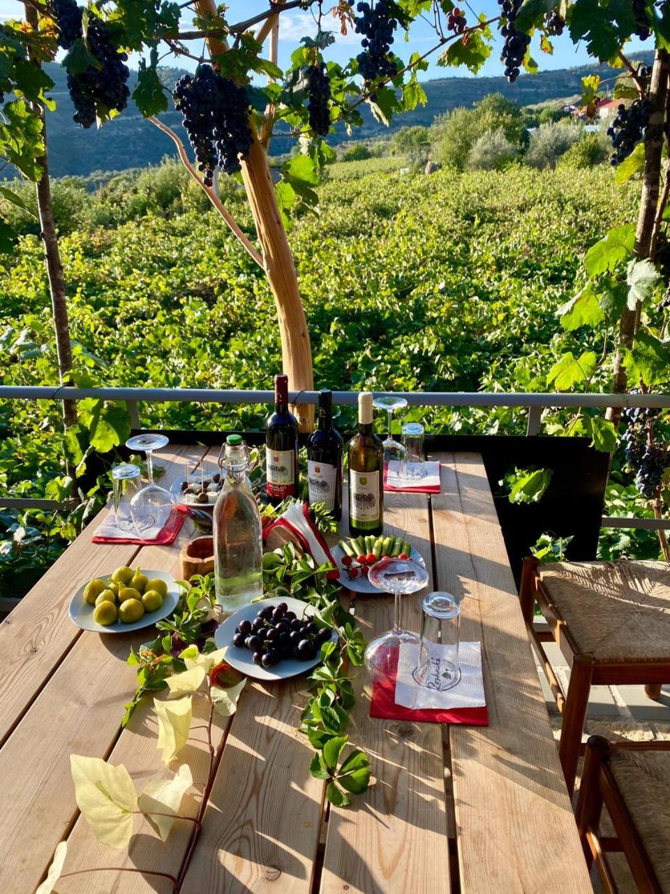 Alpeta Agrotourism & Winery - Roshnik , Berat