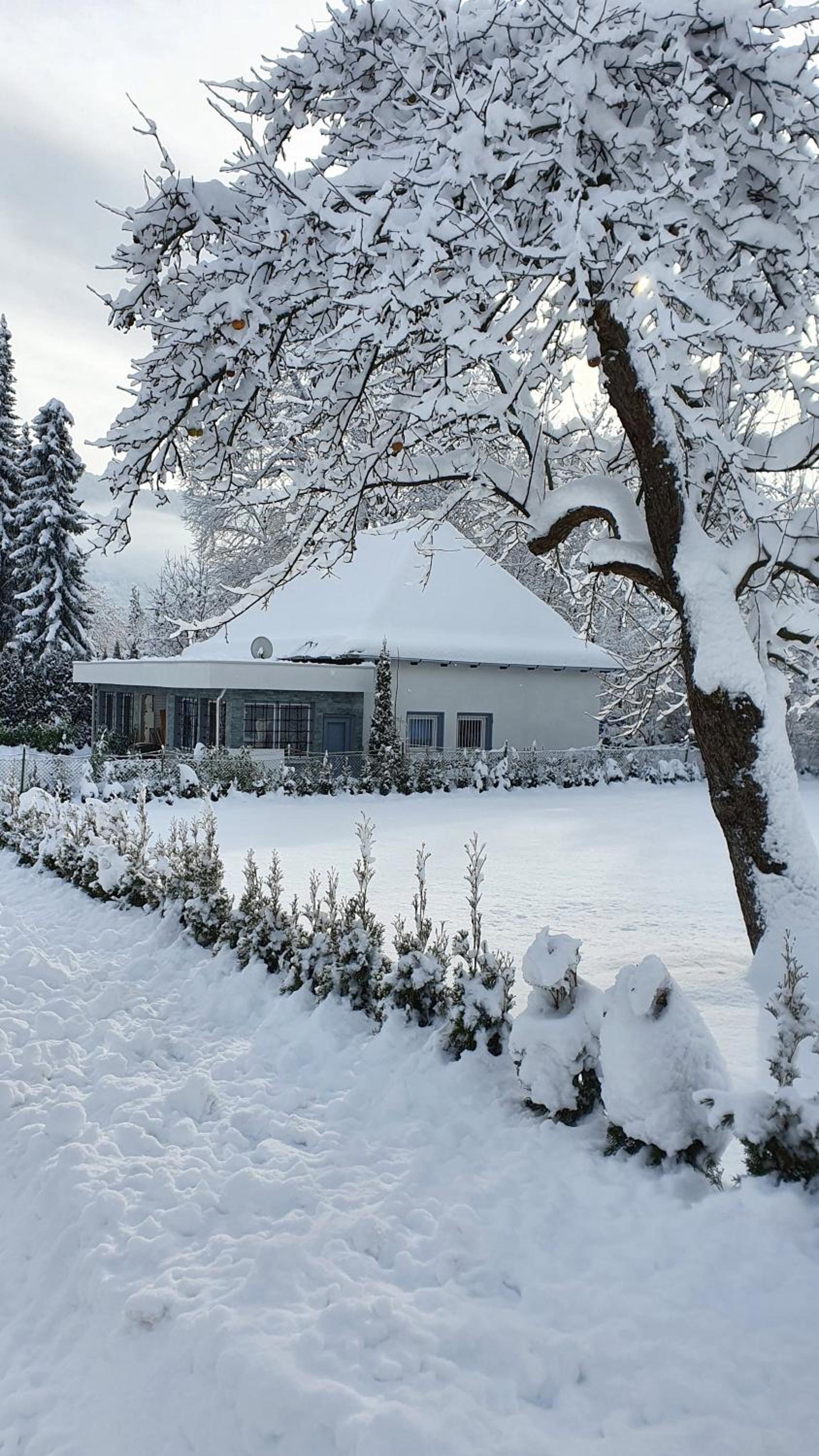 Bambu Lodge @ Ossiachersee