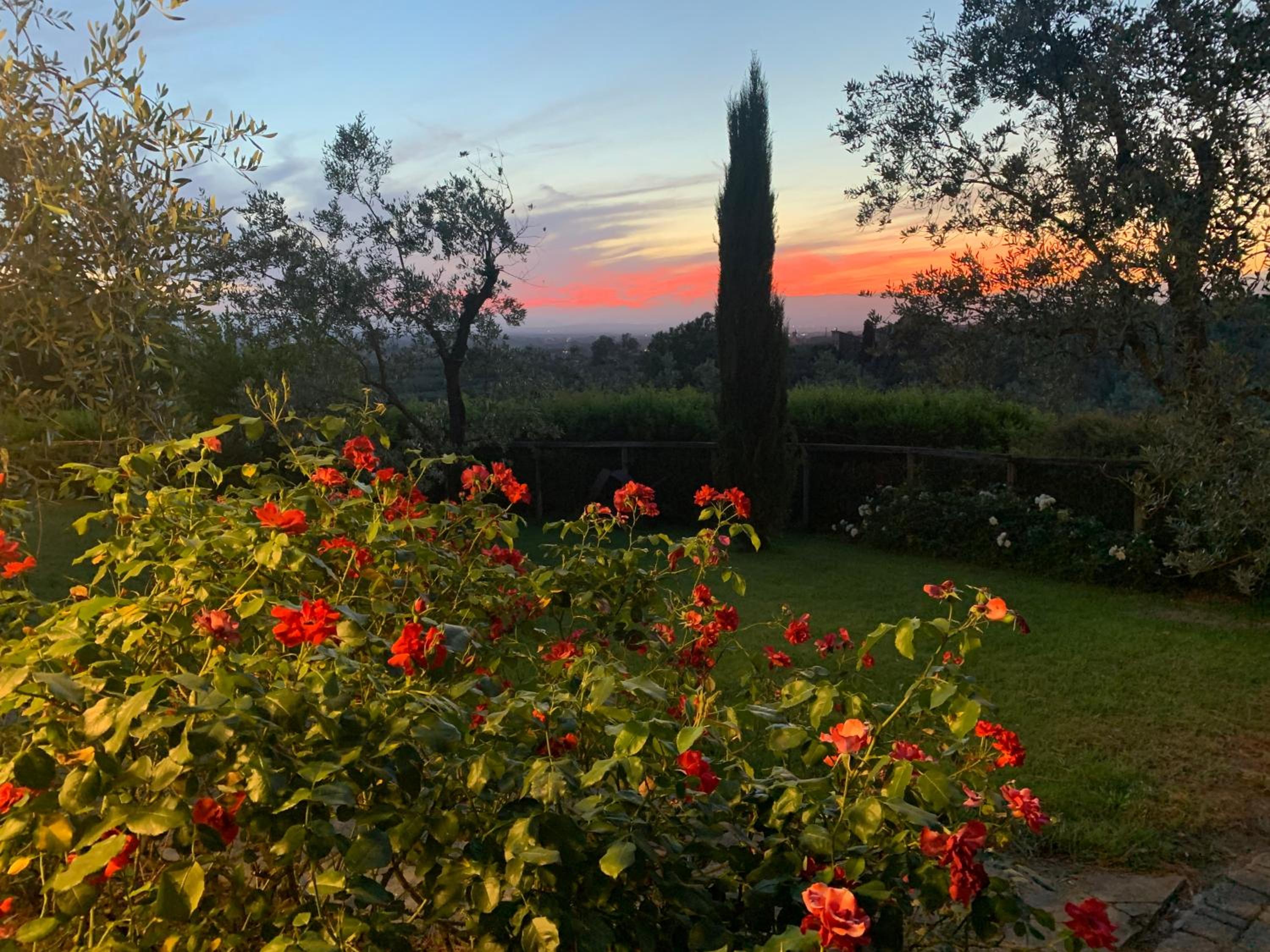 Podere Jana Antico Frantoio view 4
