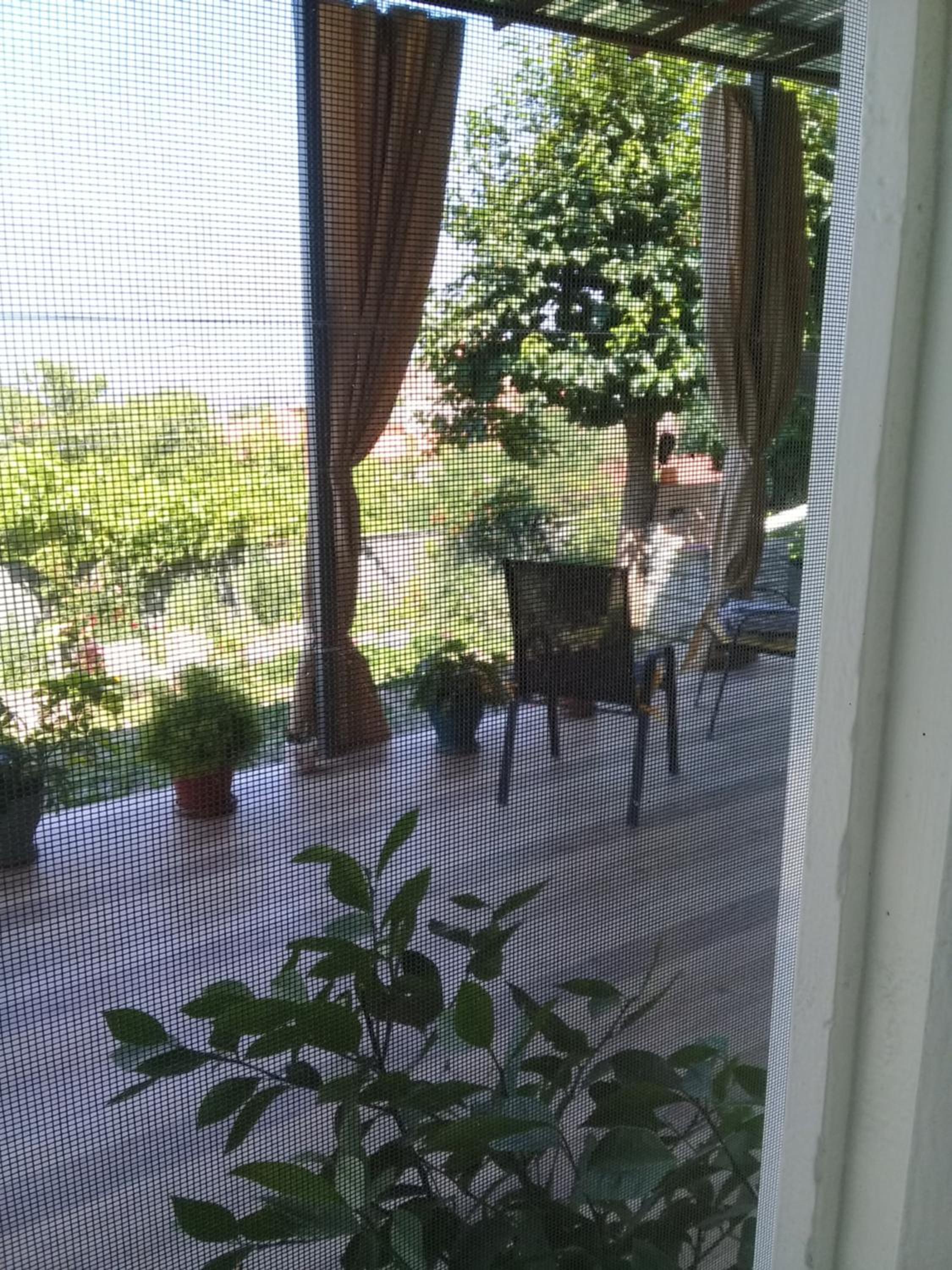 Apartment Giorgi in Sighnaghi view 5