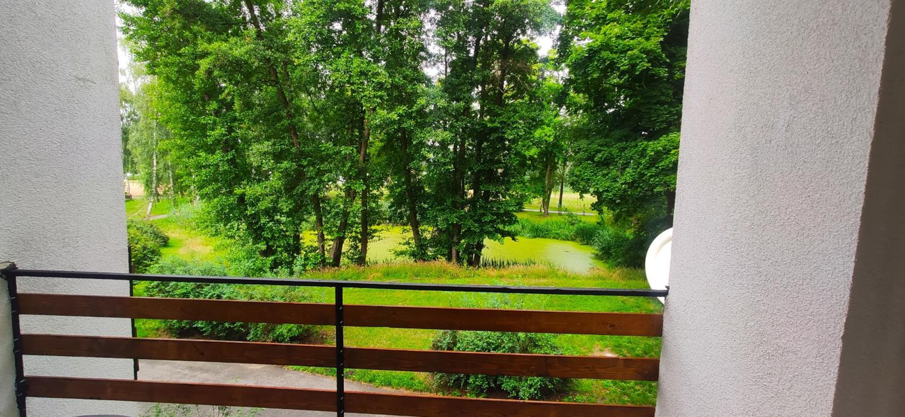 Strzeszynek - wypoczynek view 3