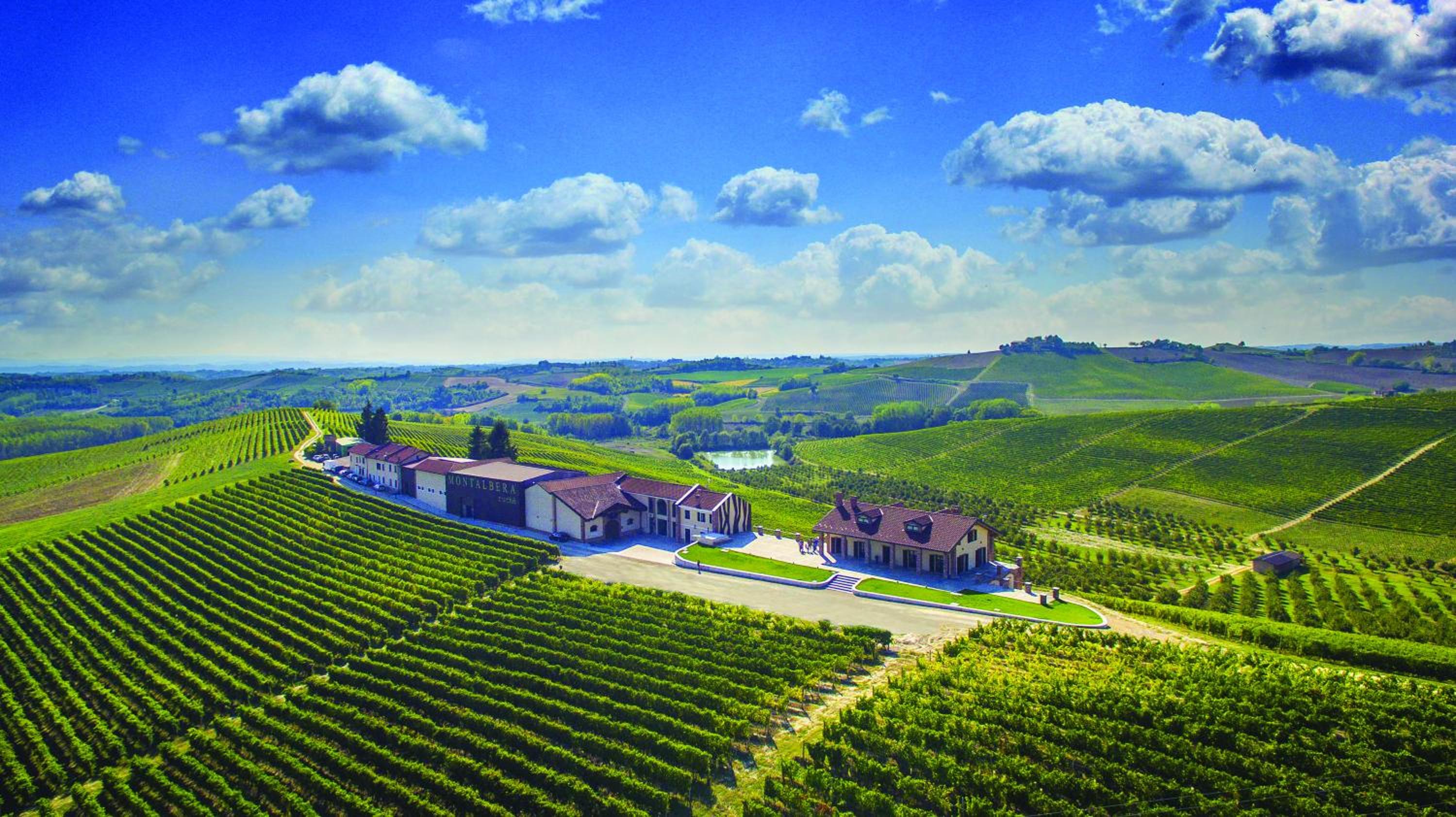 Montalbera Wine Suites view 4