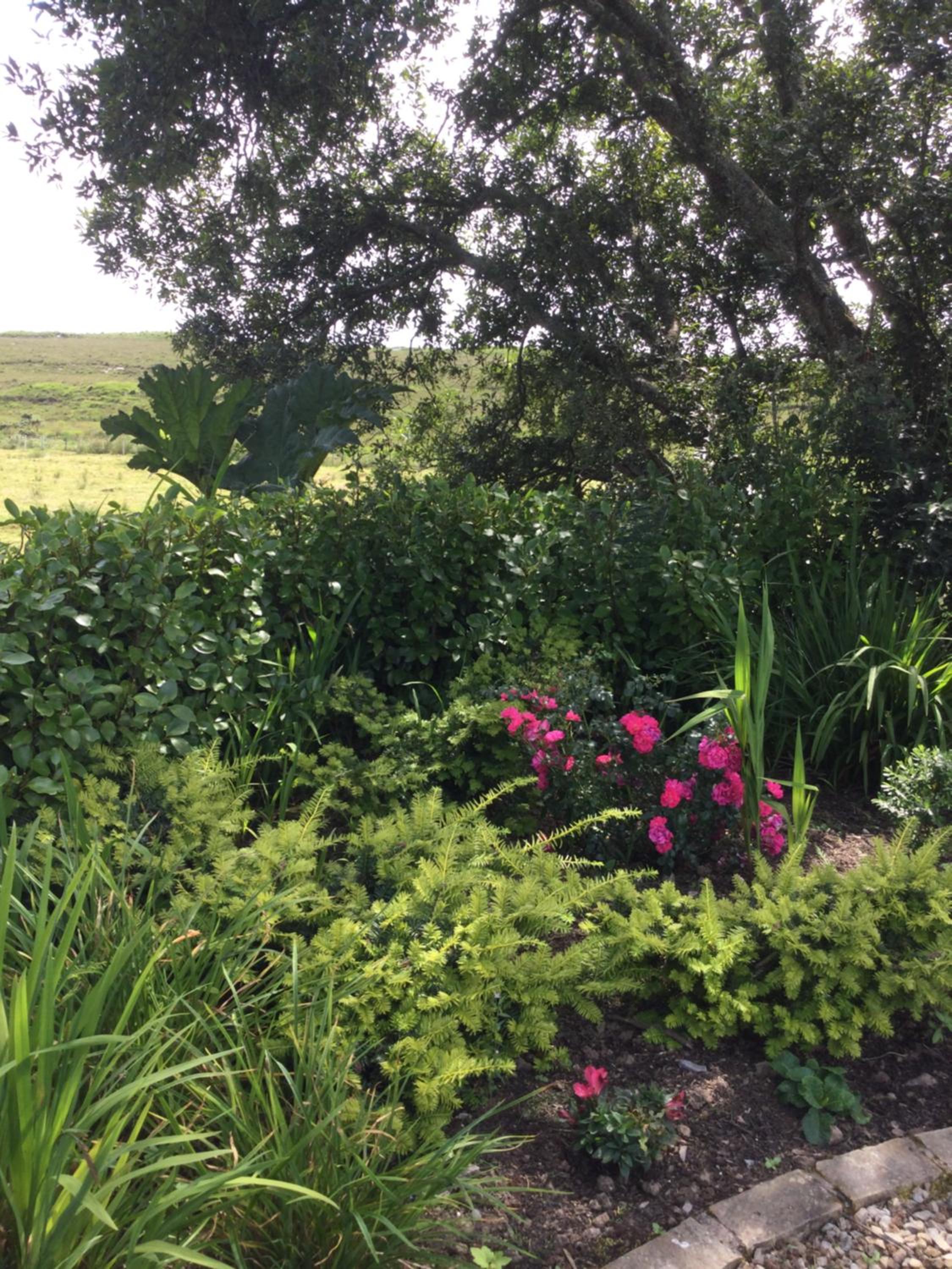 Tullybeggs B&B