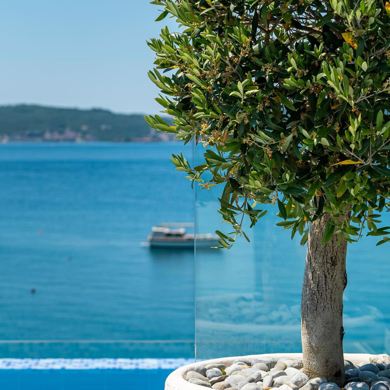 Elysium Tivat photo 5