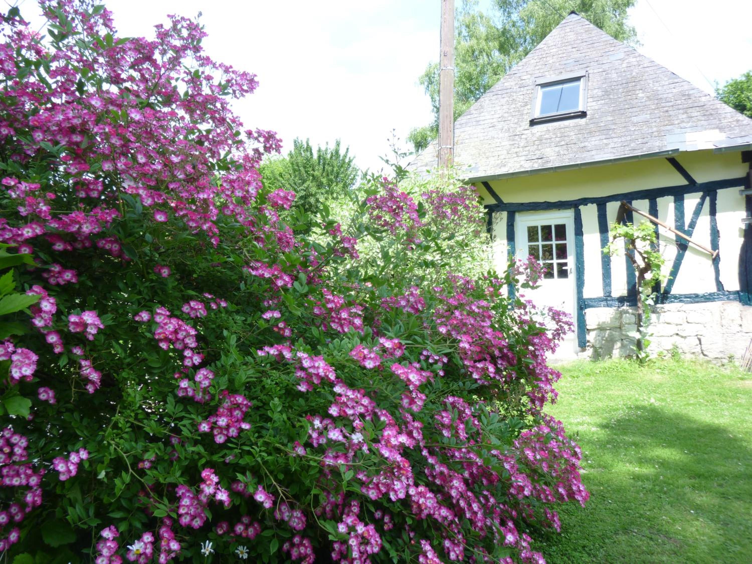 Photo 21