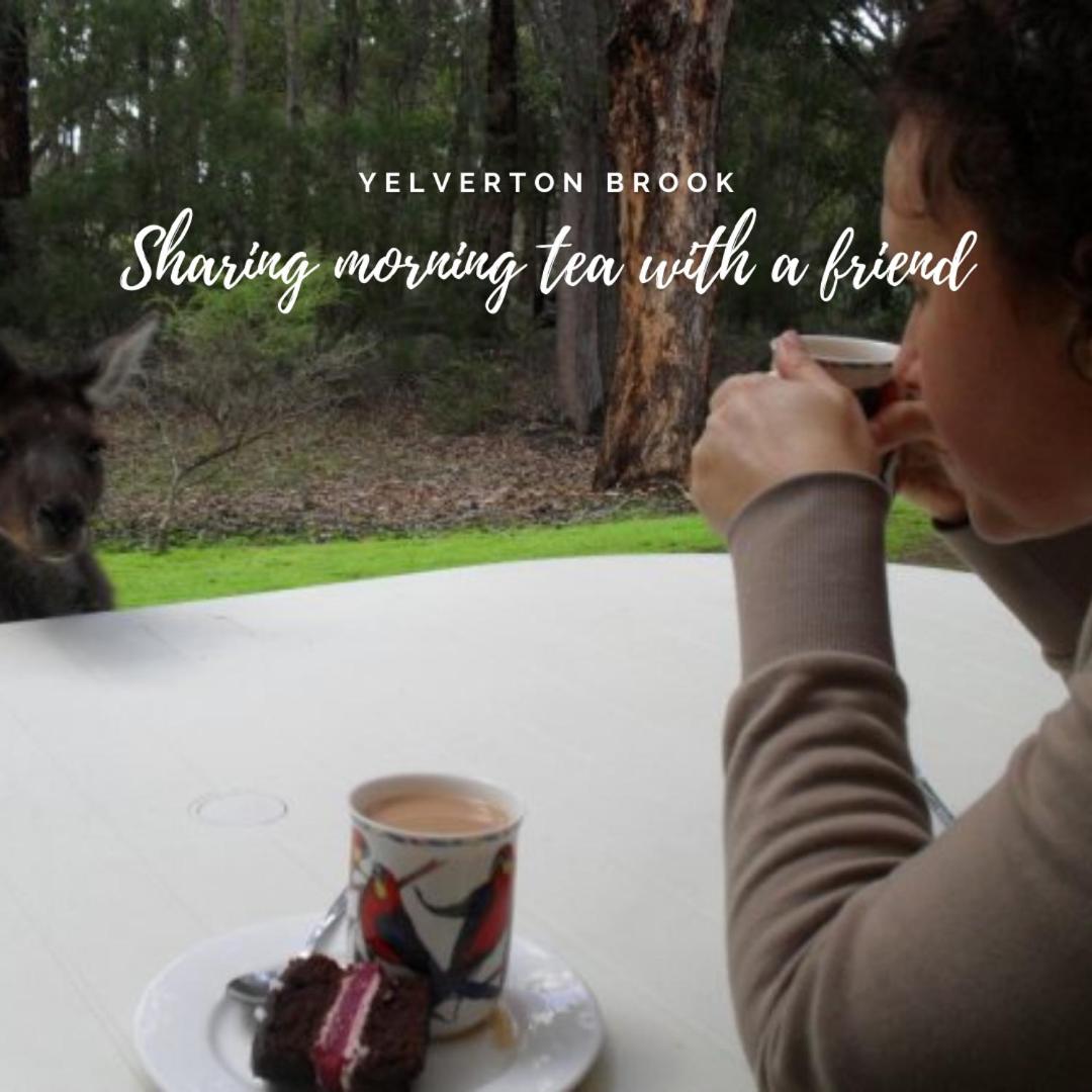 Yelverton Brook Conservation Sanctuary