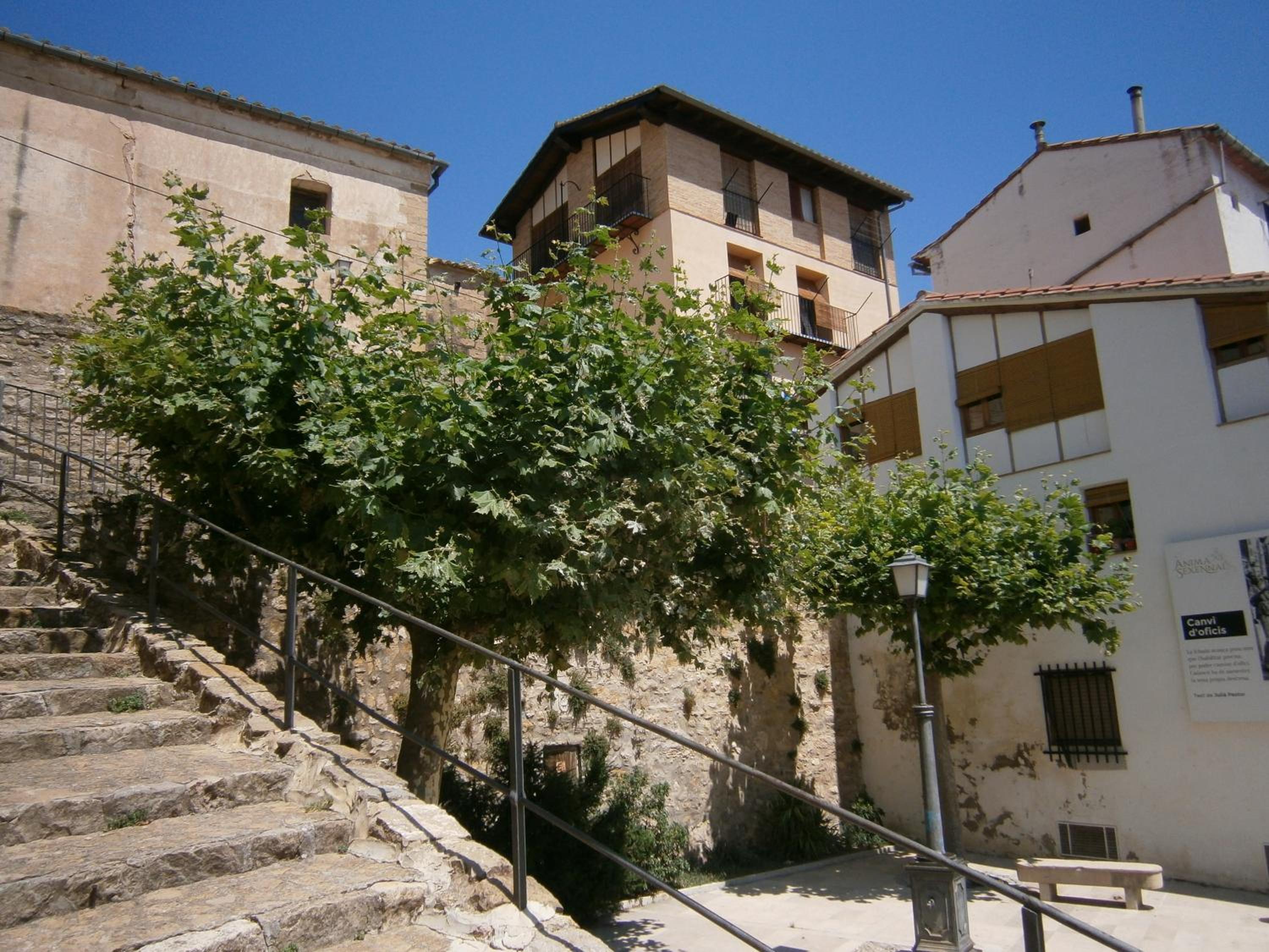 Photo 29
