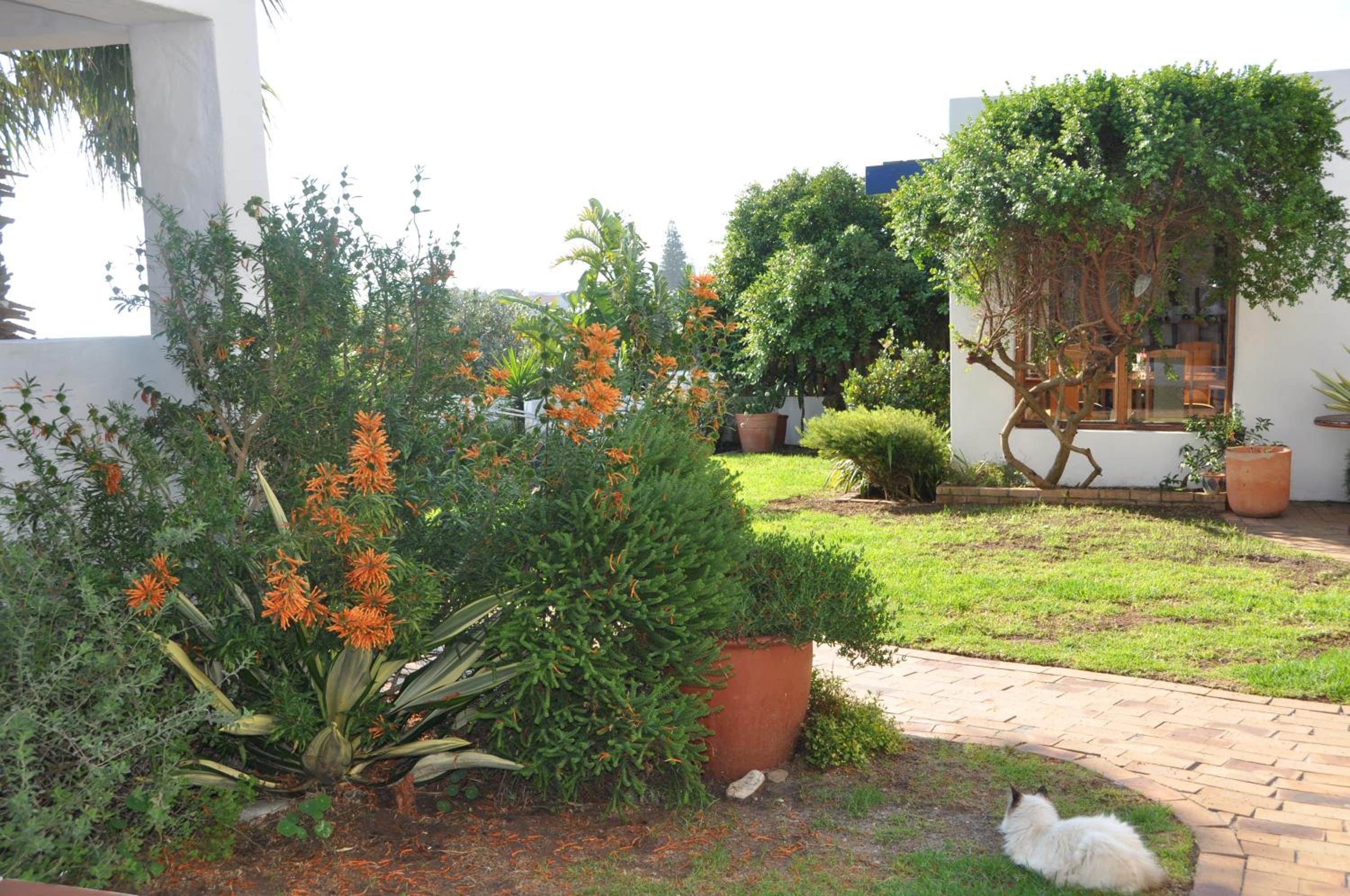 Saxon Lodge