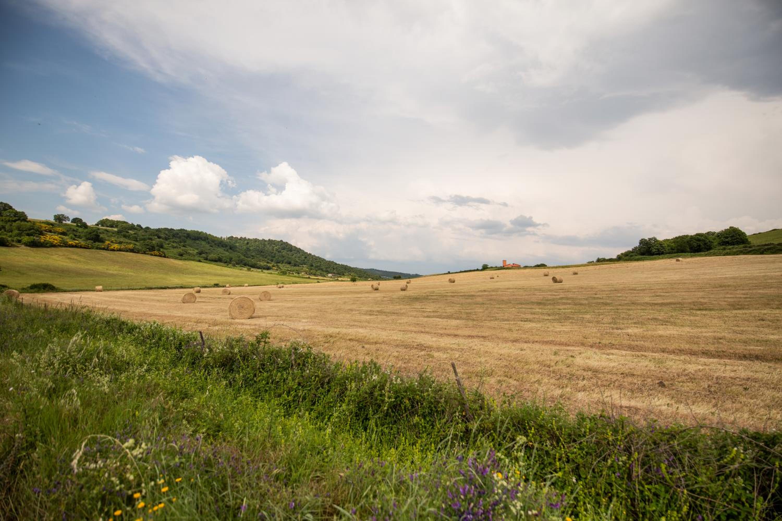 Agriturismo Lago di Mezzano