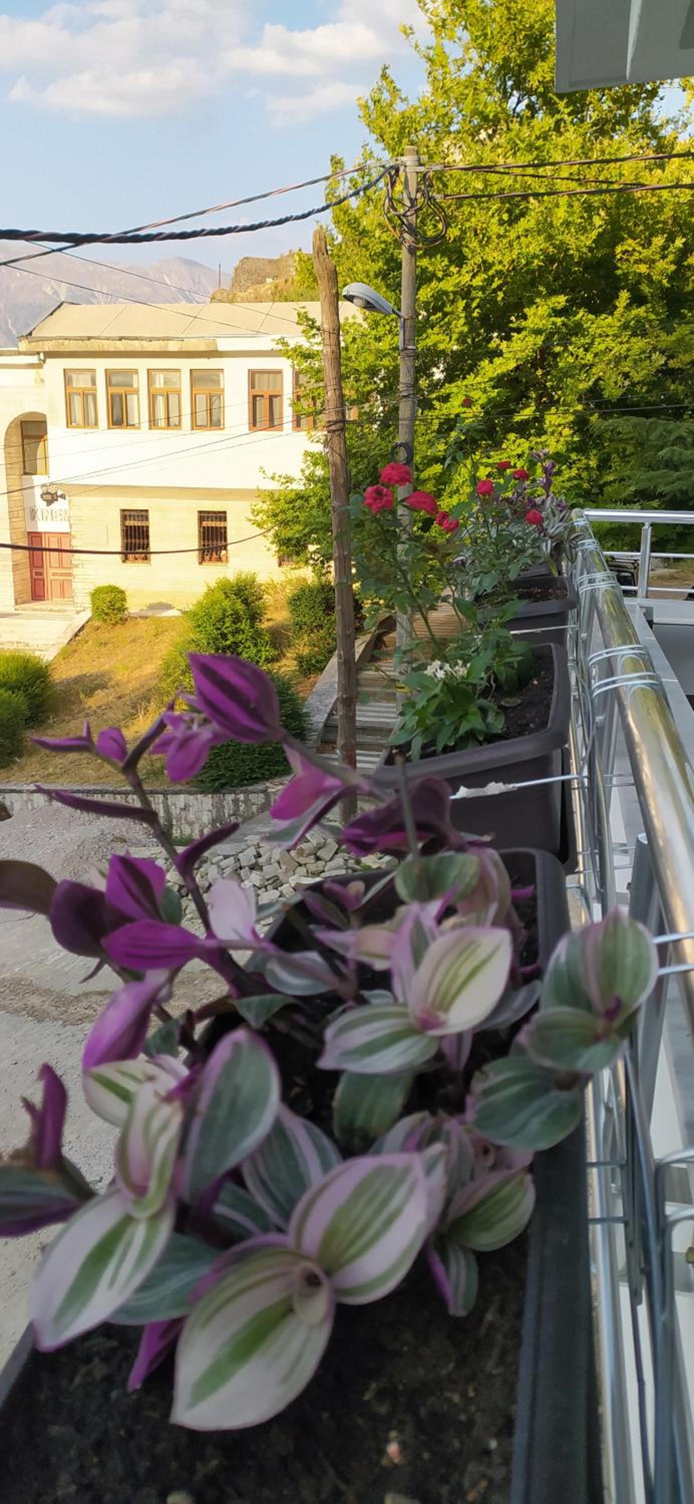 A&Fabio Guesthouse