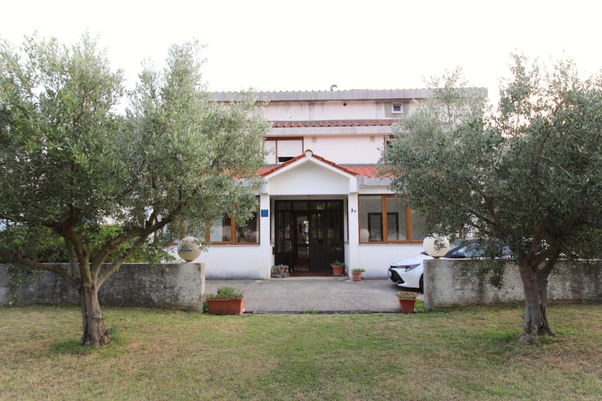 Apartments Petrica view 2