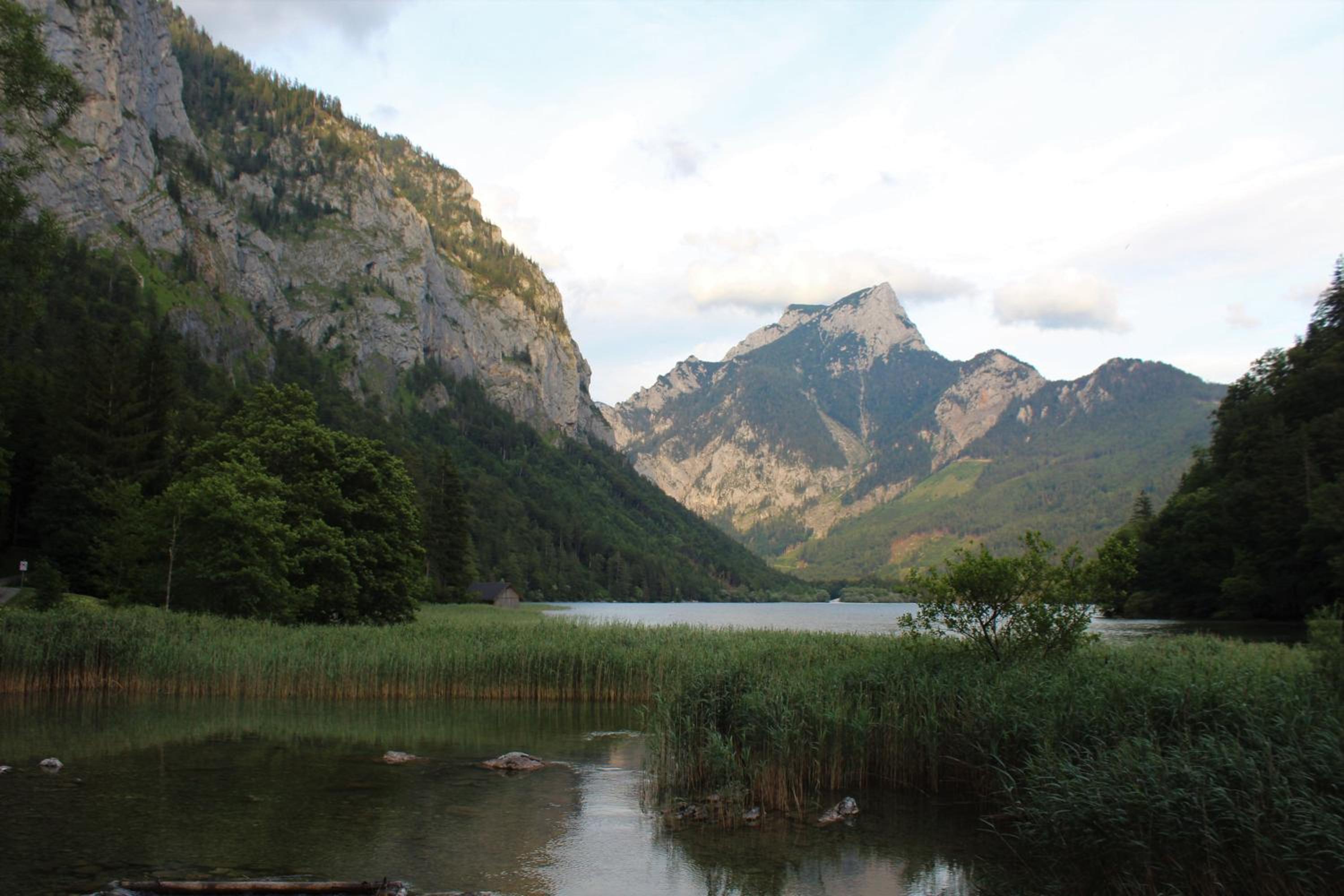 Photo 46