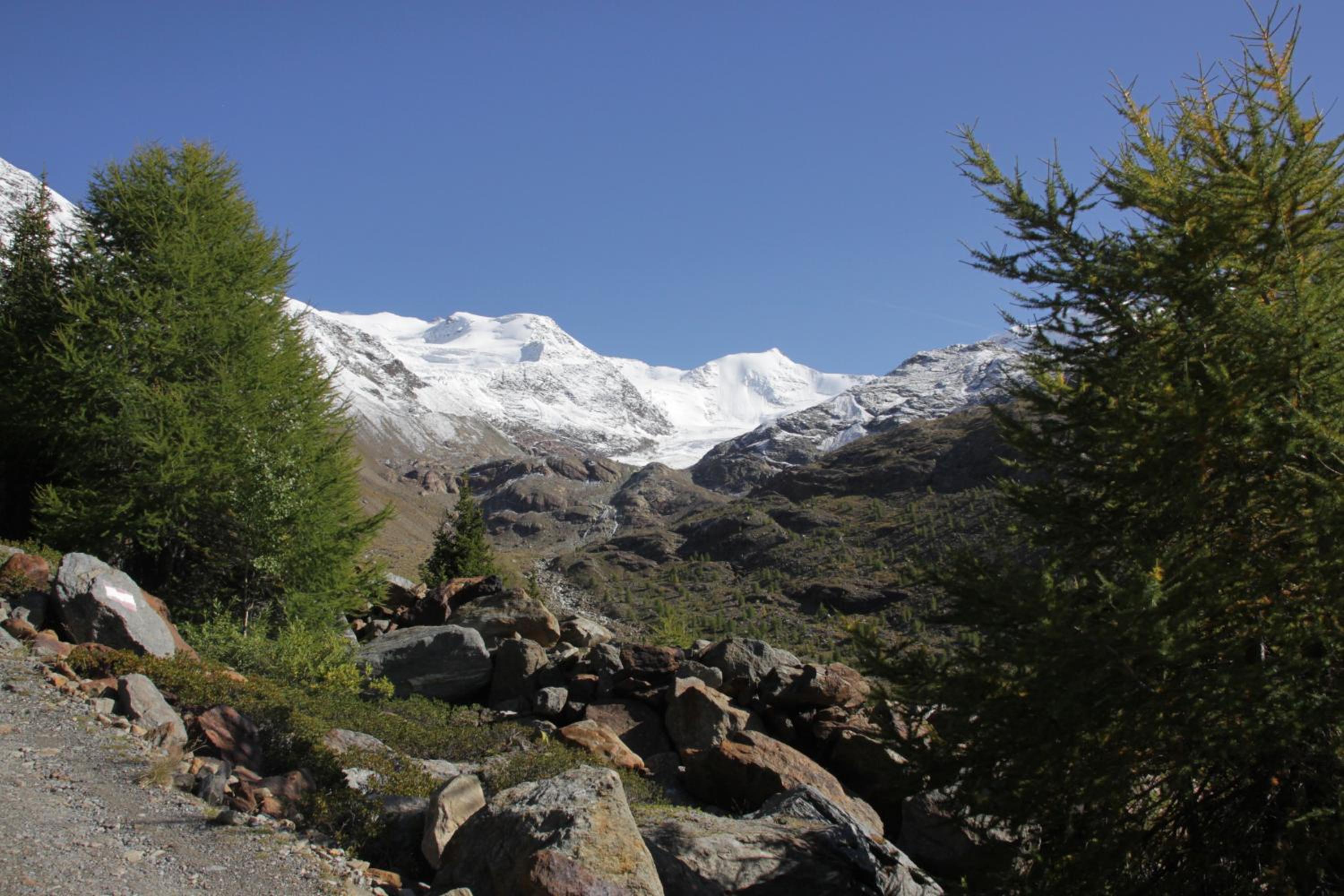 Photo 10