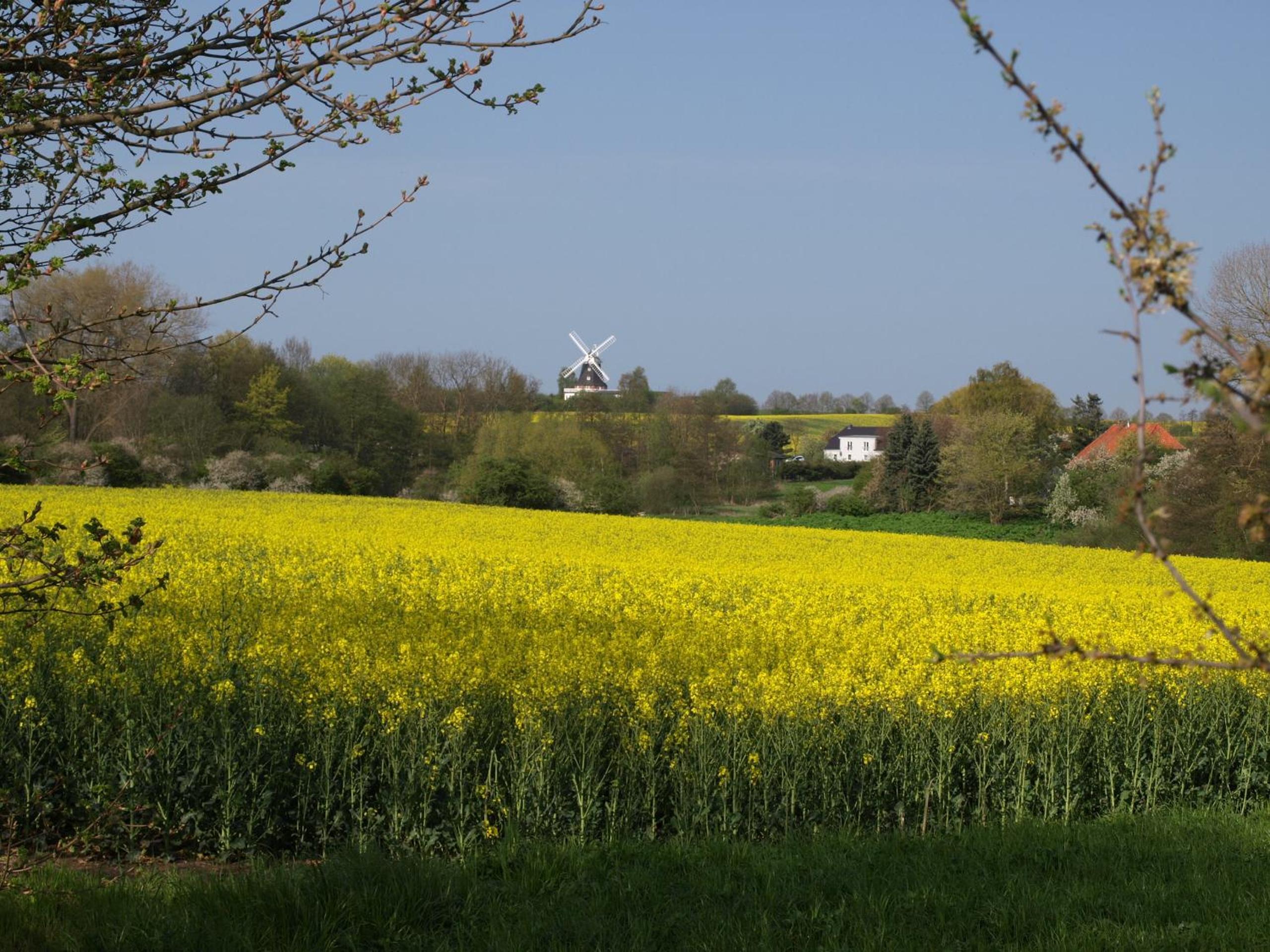 Urlauberdorf 62a