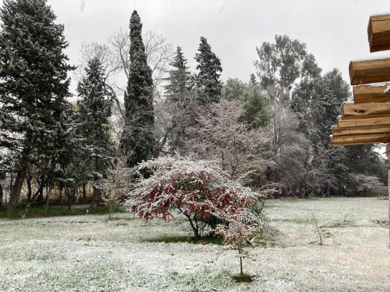 Posada Los Cipreses