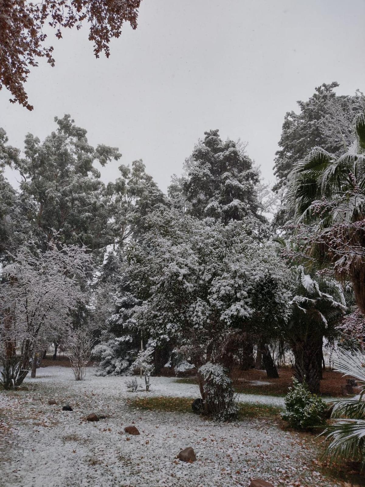 Posada Los Cipreses