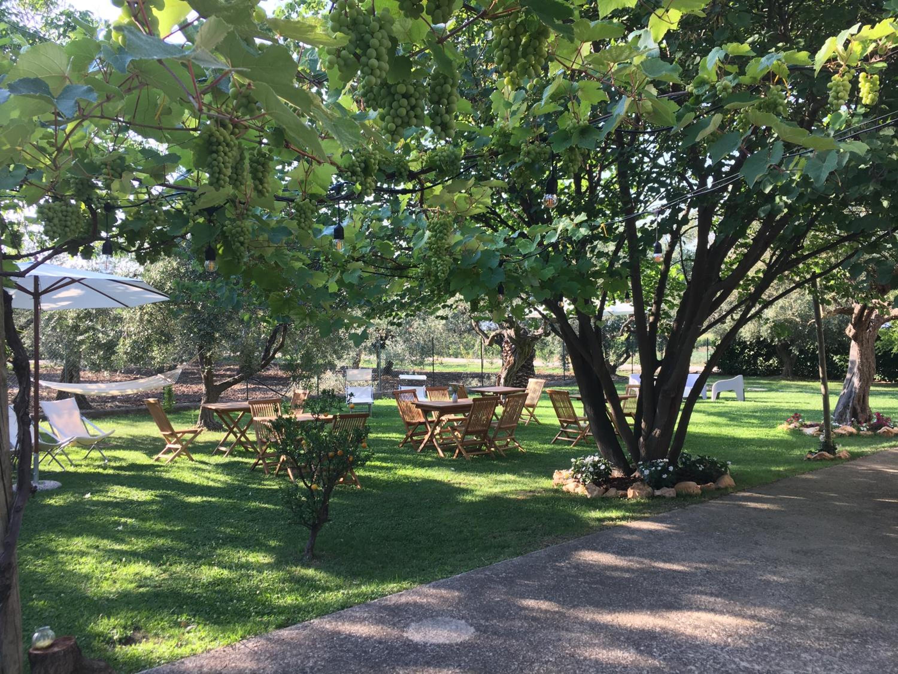 Az. Agr. Parco dei Buoi view 4