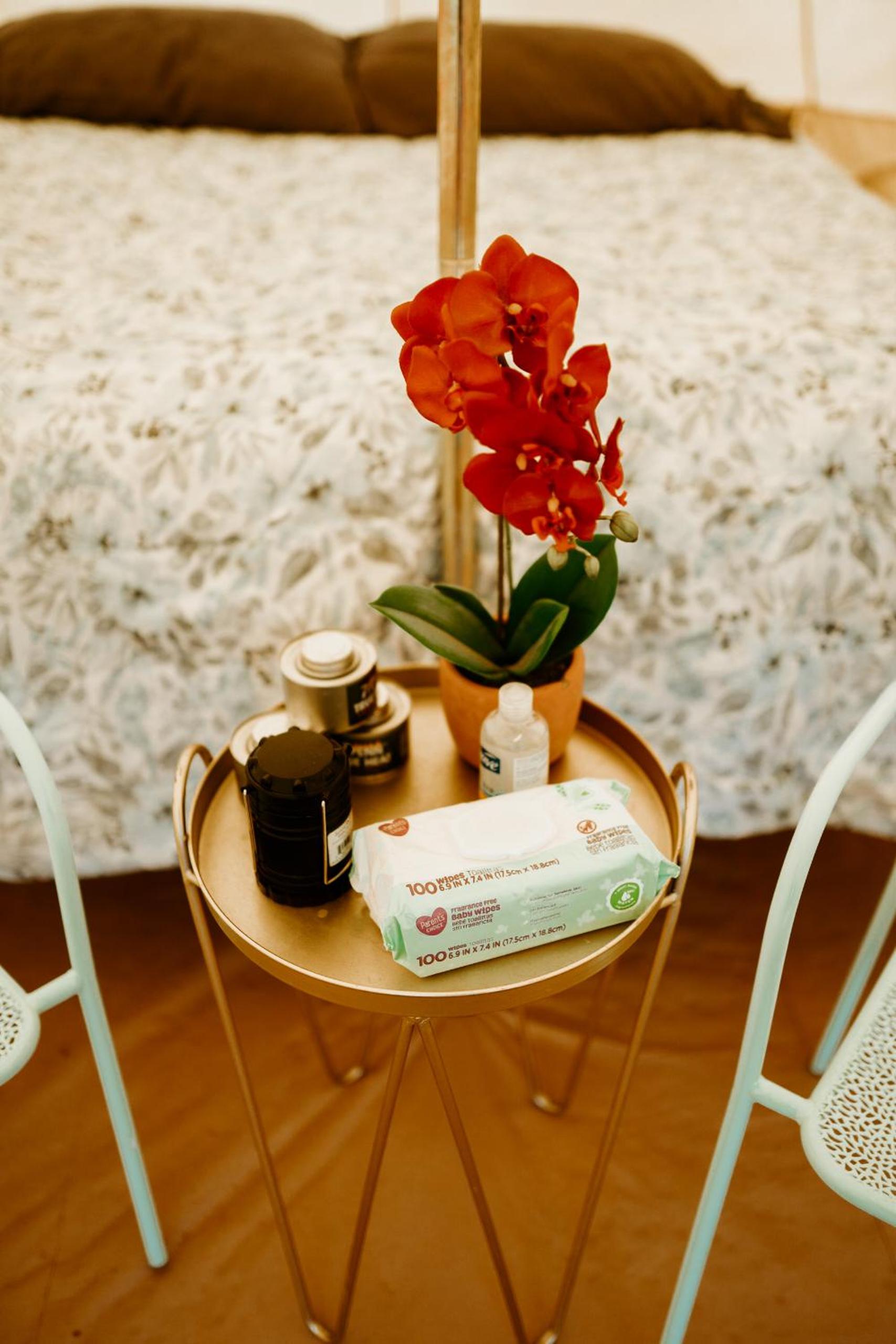 Zion View Camping - Property Image 89