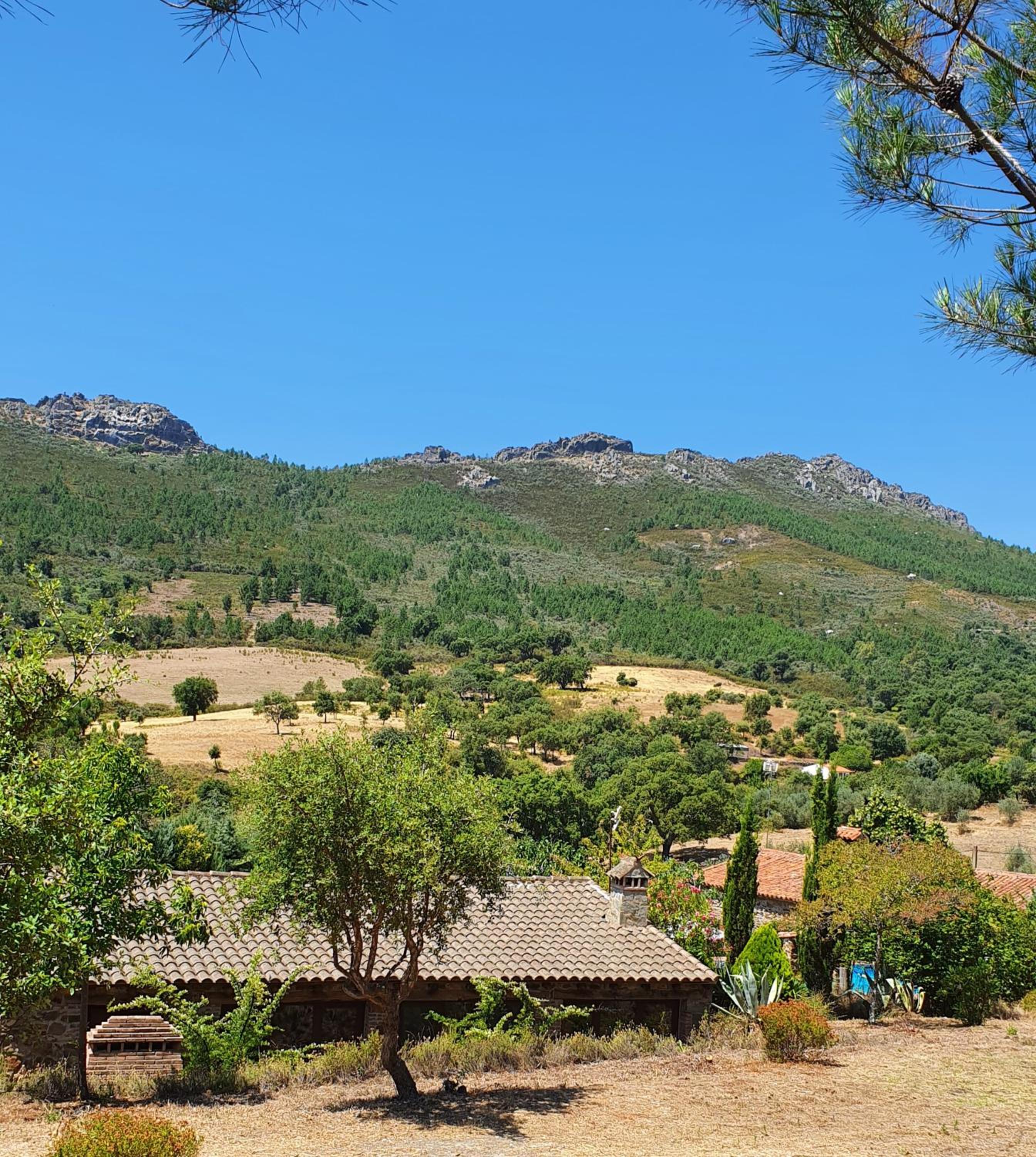 El Jiniebro Turismo Rural