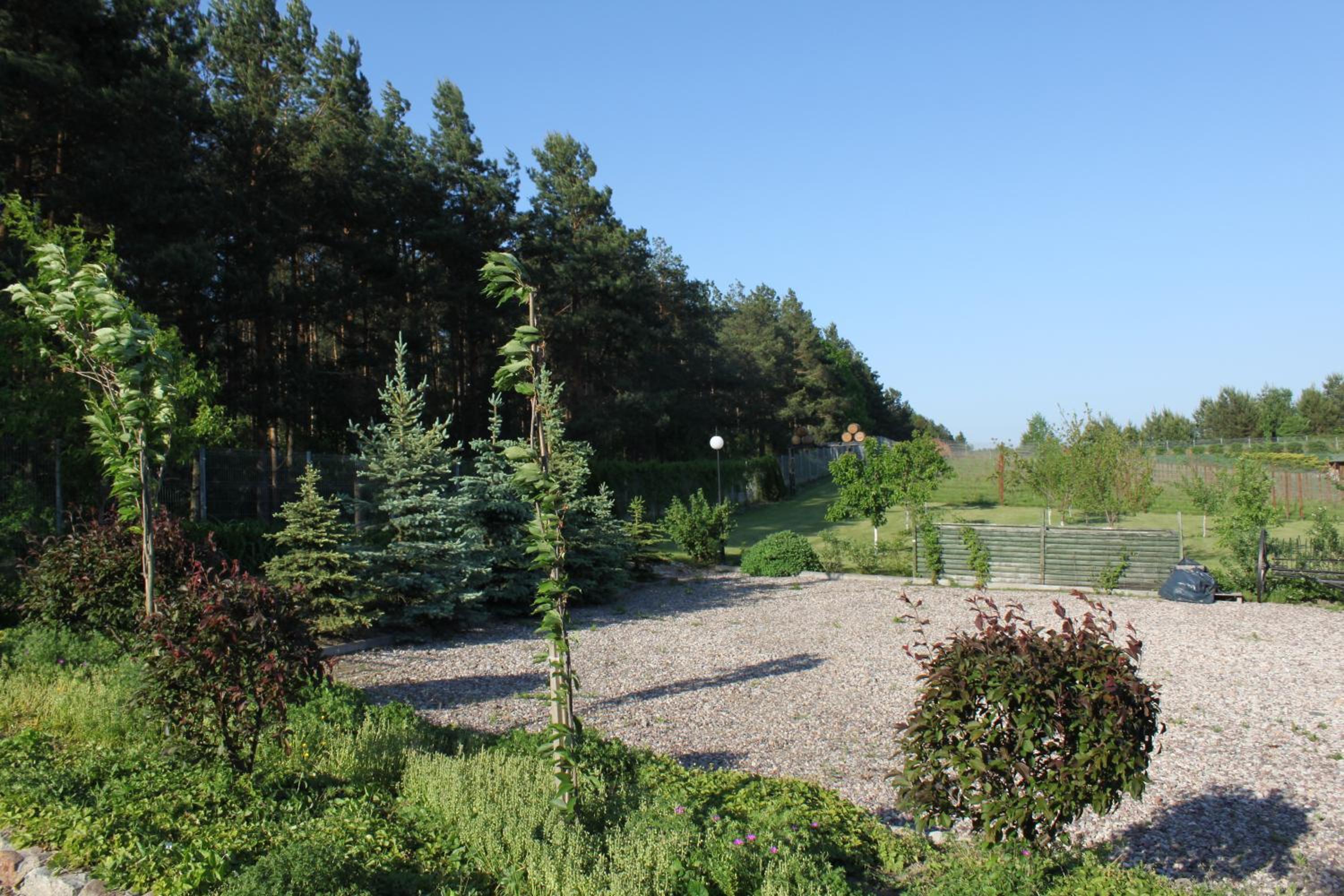Photo 45