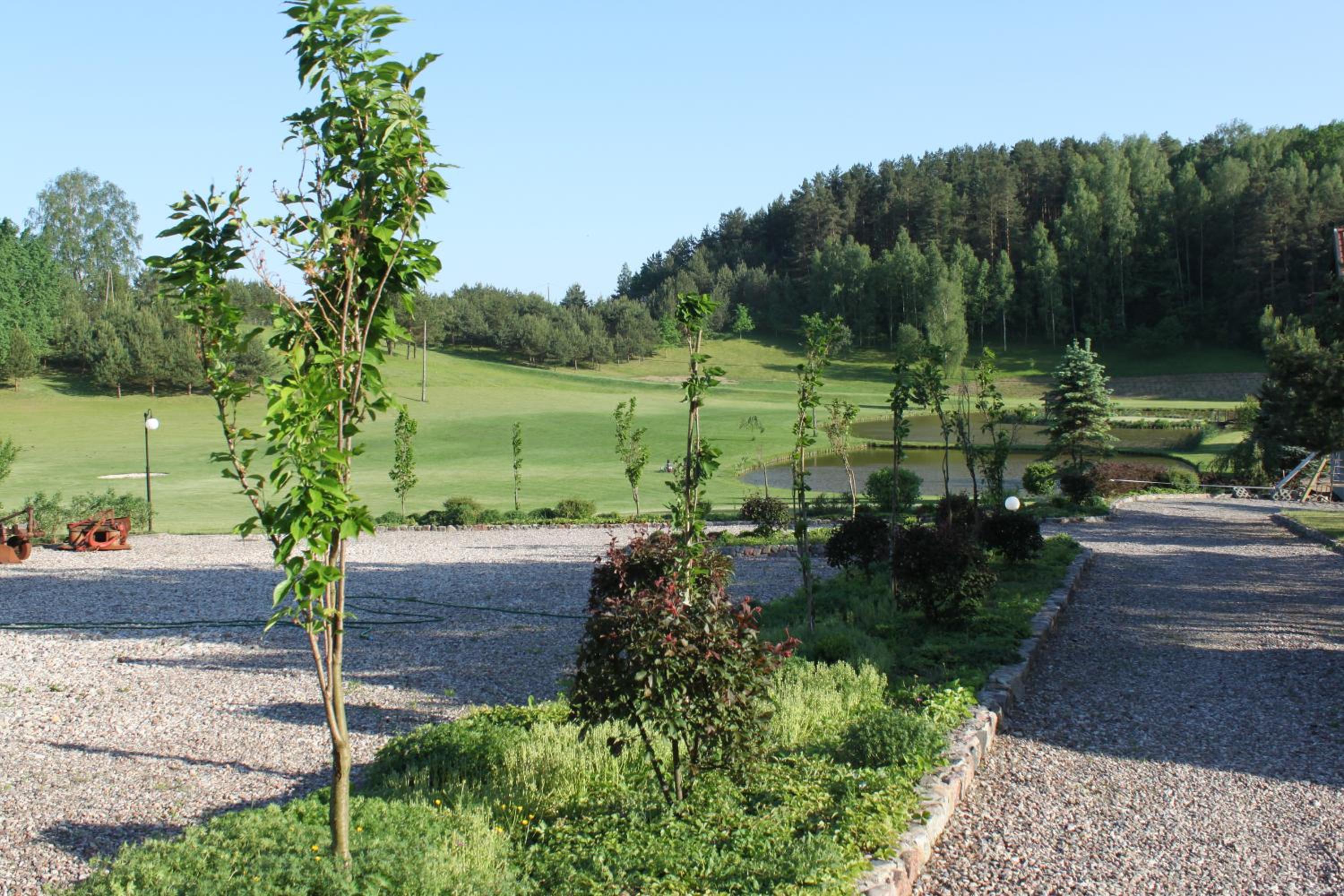 Photo 44
