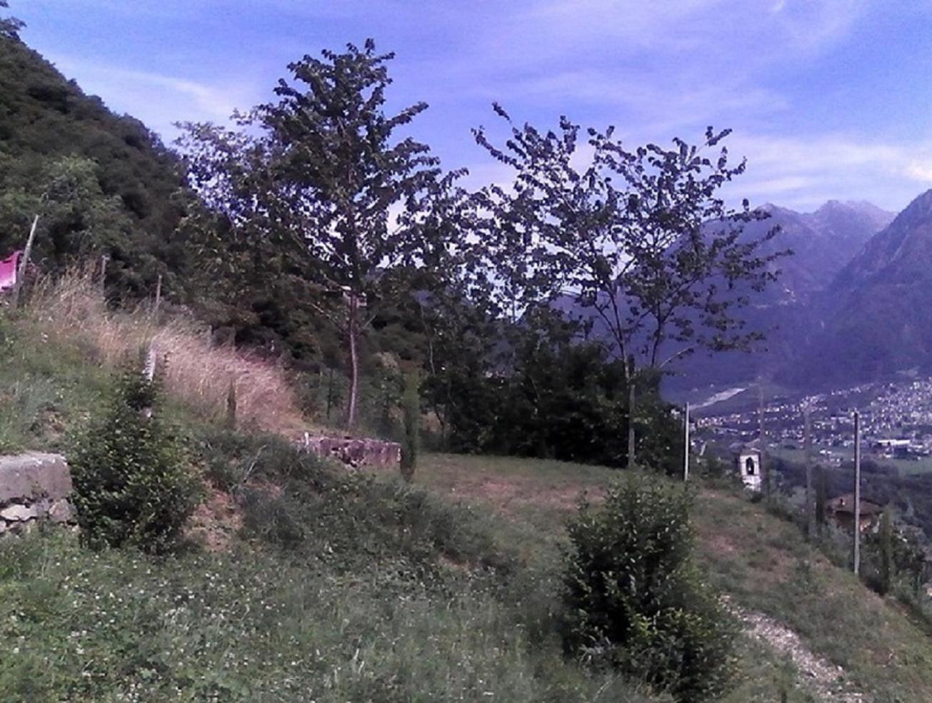 '' Al Pèrgul ''