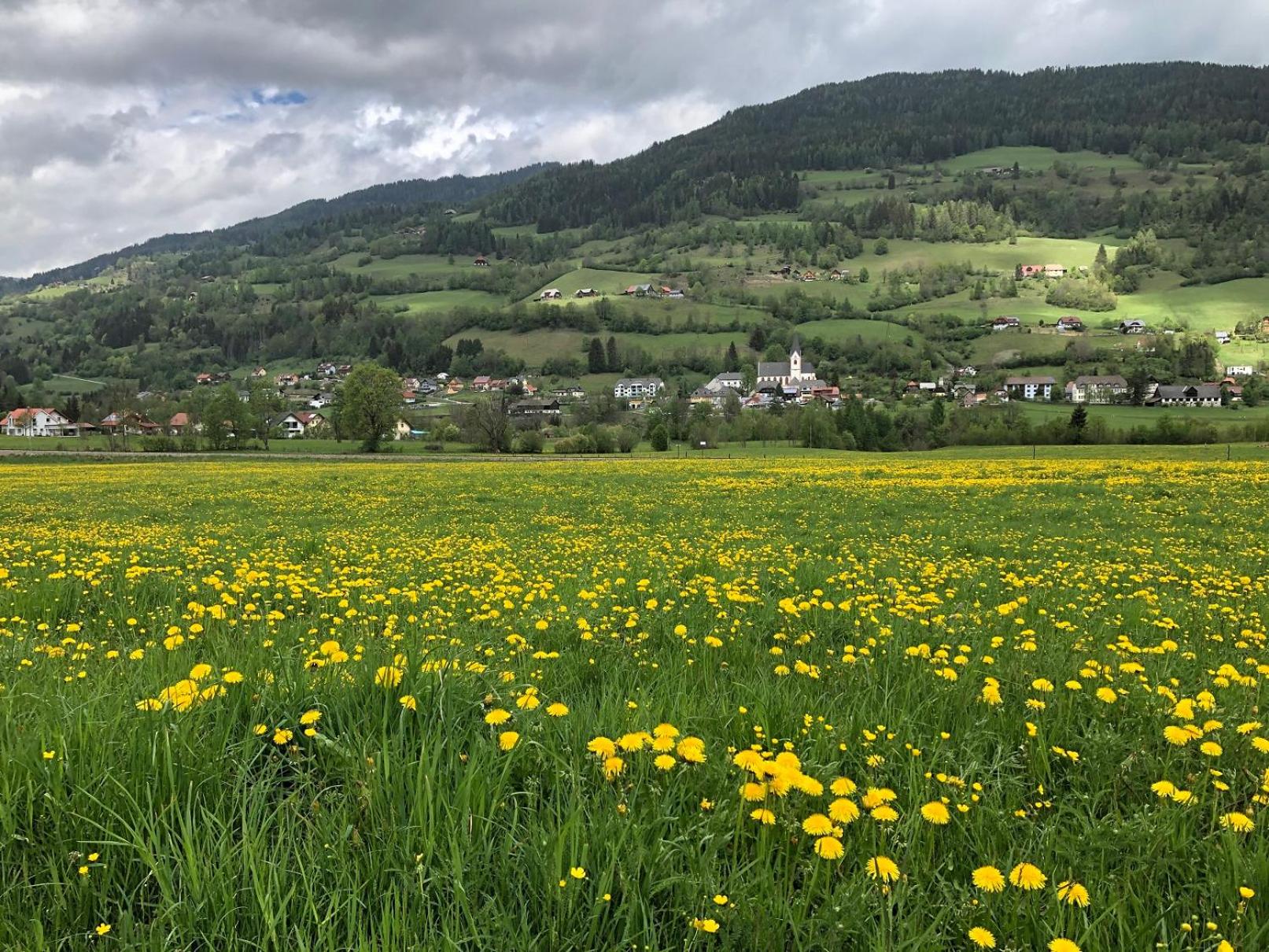 Chalet Prinz