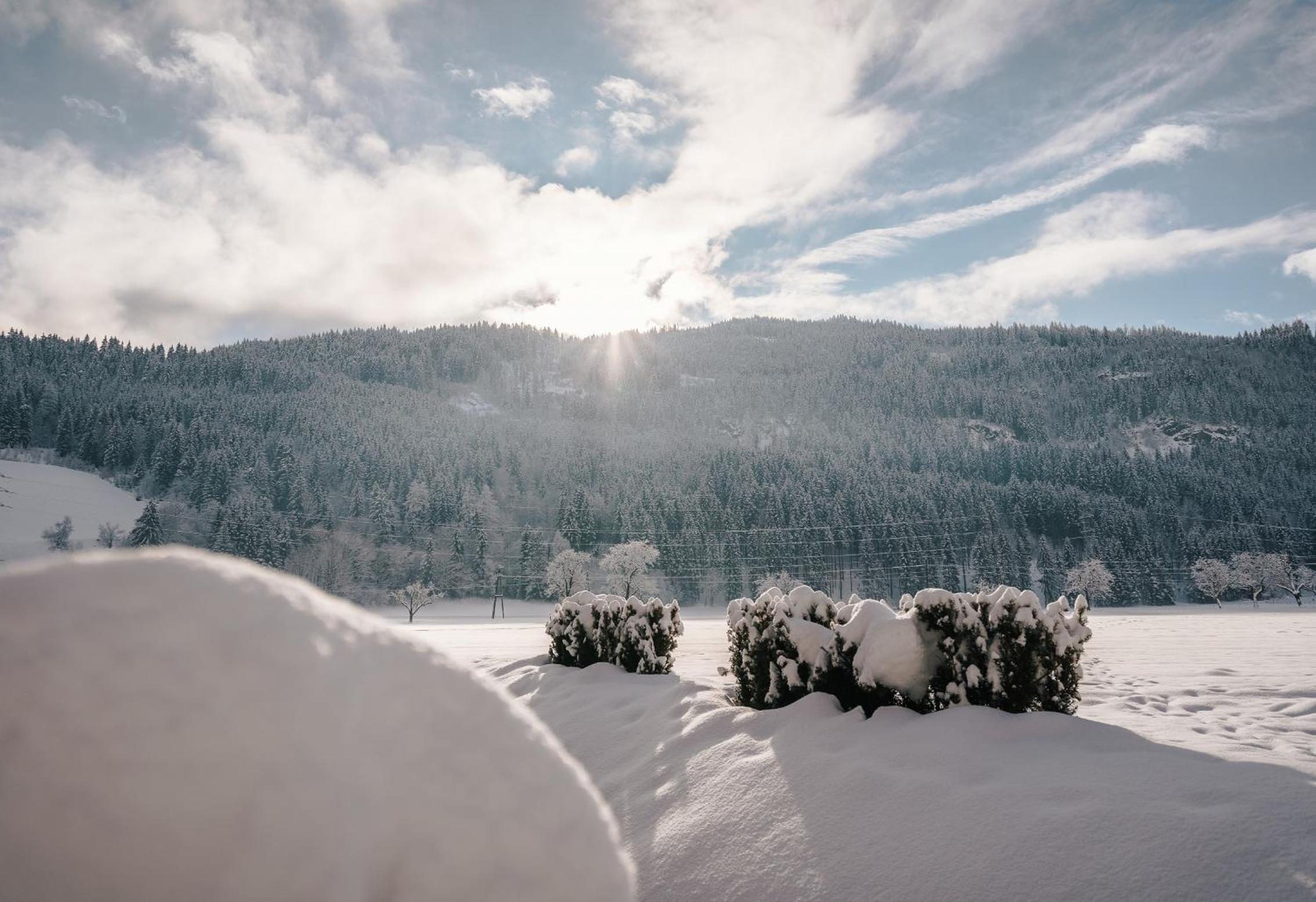 Chalet Prinz