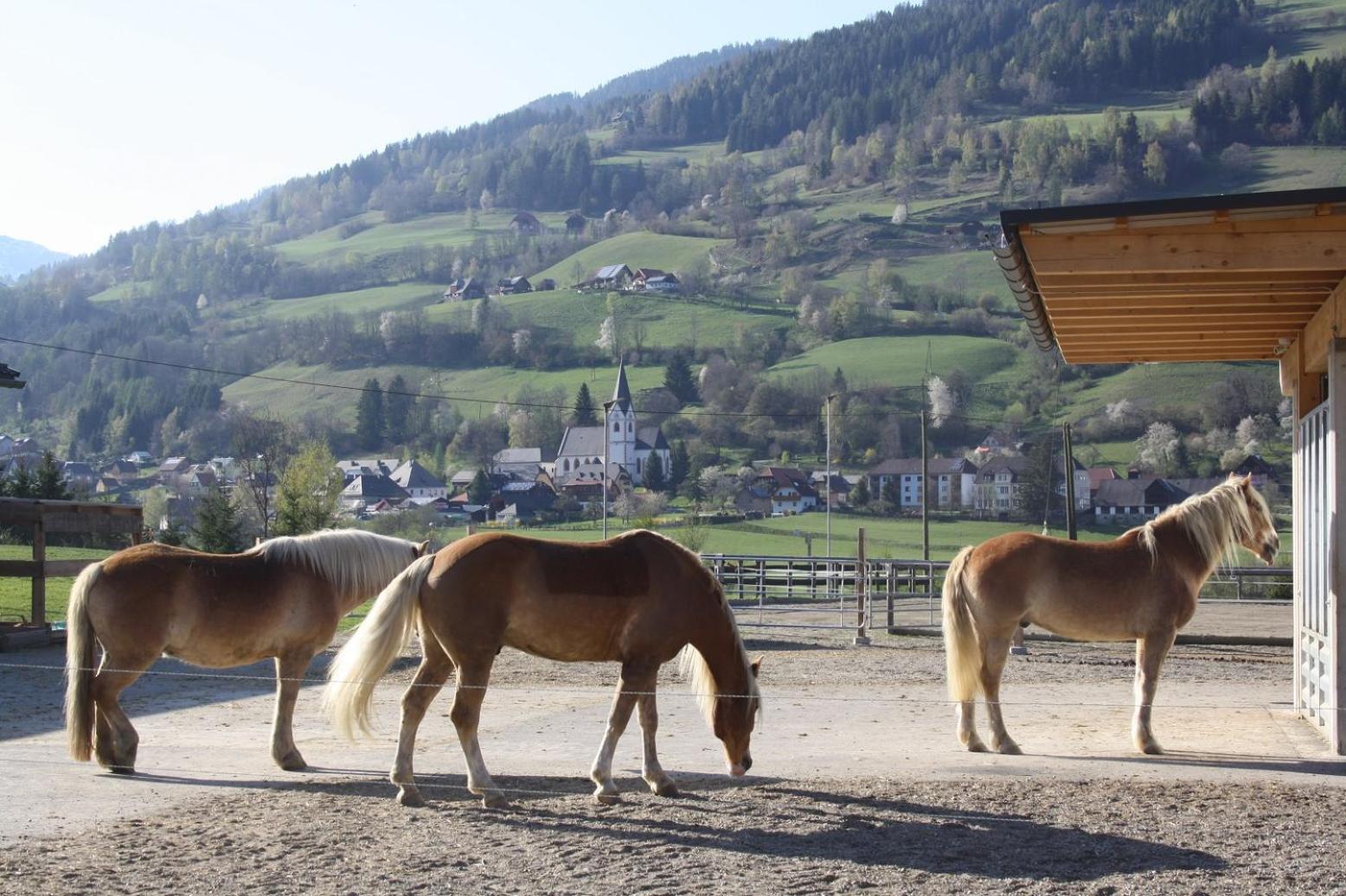 Chalet Prinz