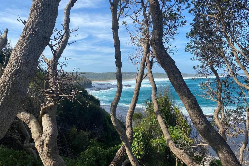 Just A Mellow Surf Escape @ Seaside, Dolphin Point