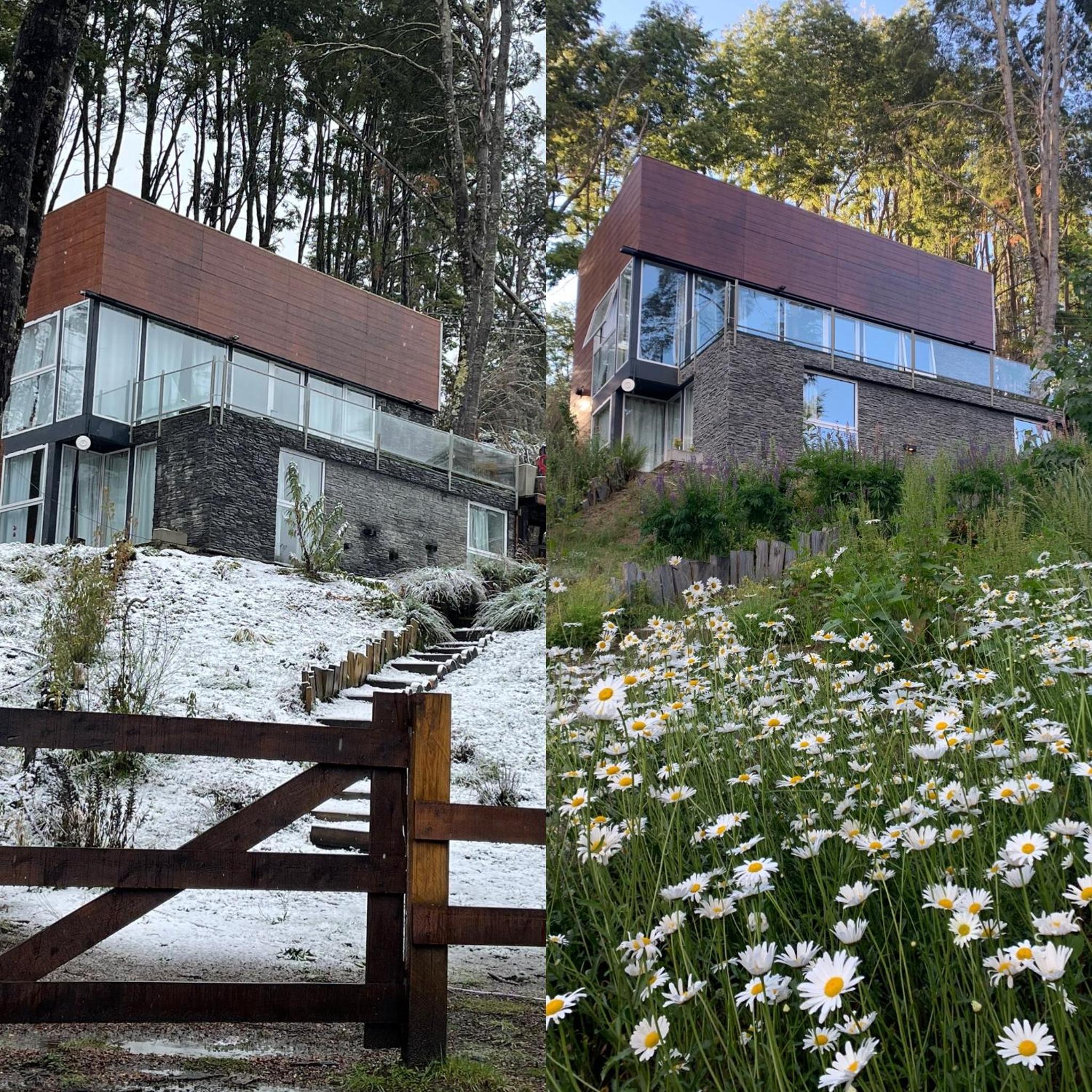 Casa moderna en el bosque y montaña