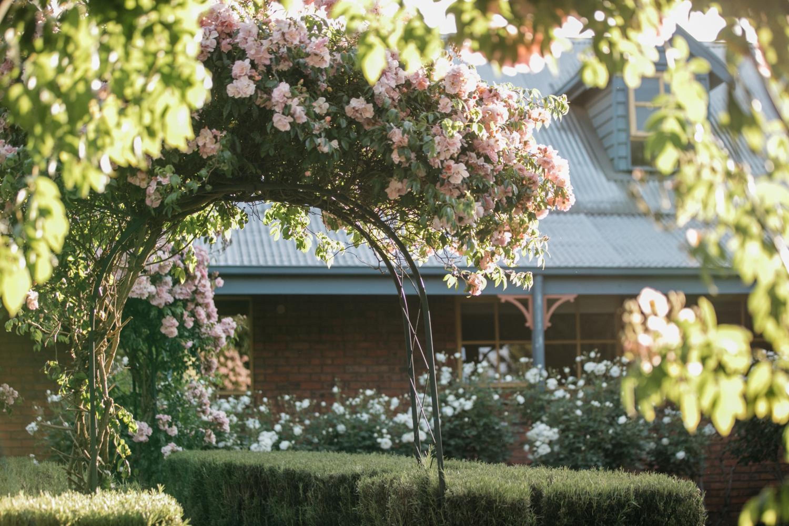 Lawson Lodge Country Estate