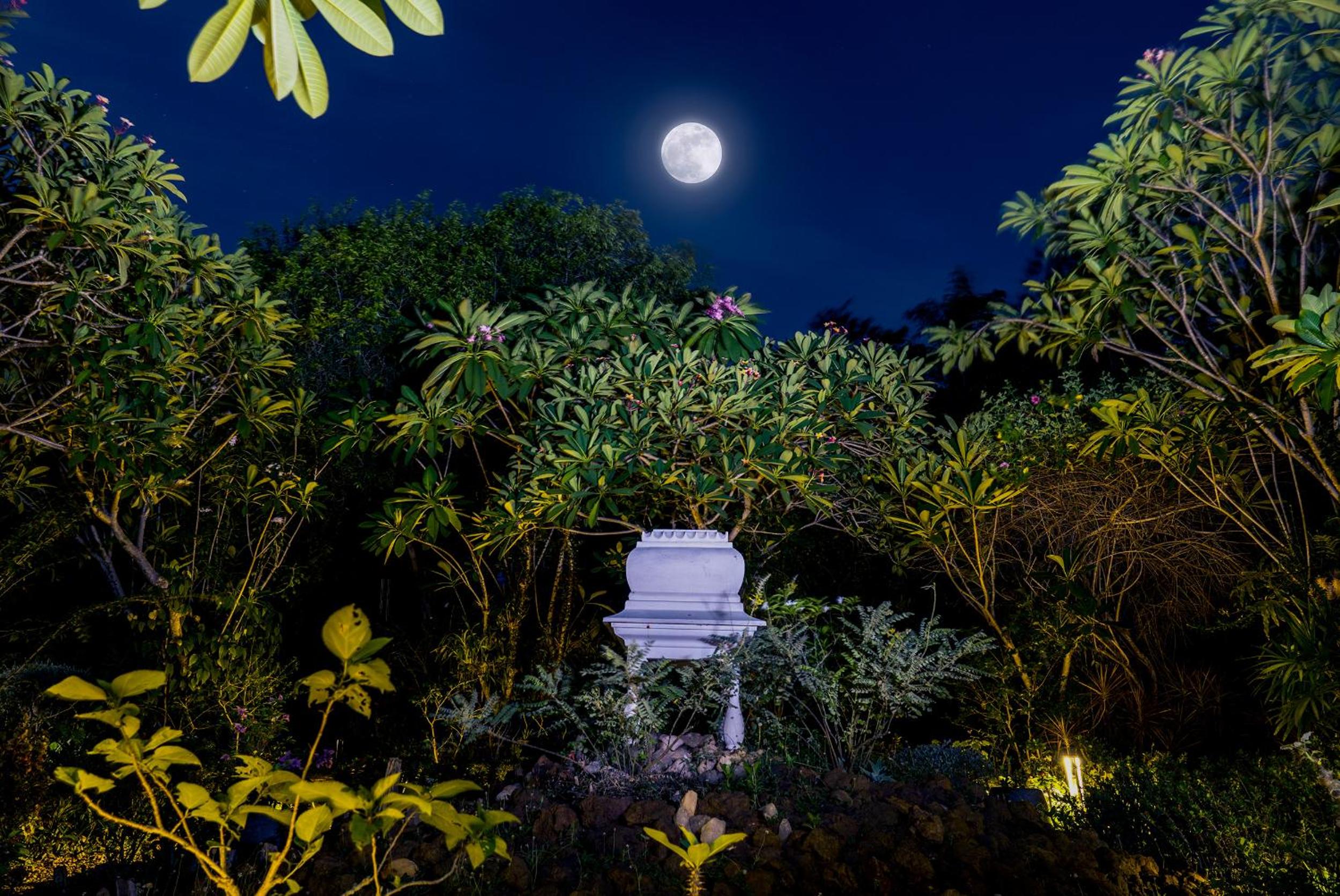 Gaia's Garden Guest House view 2