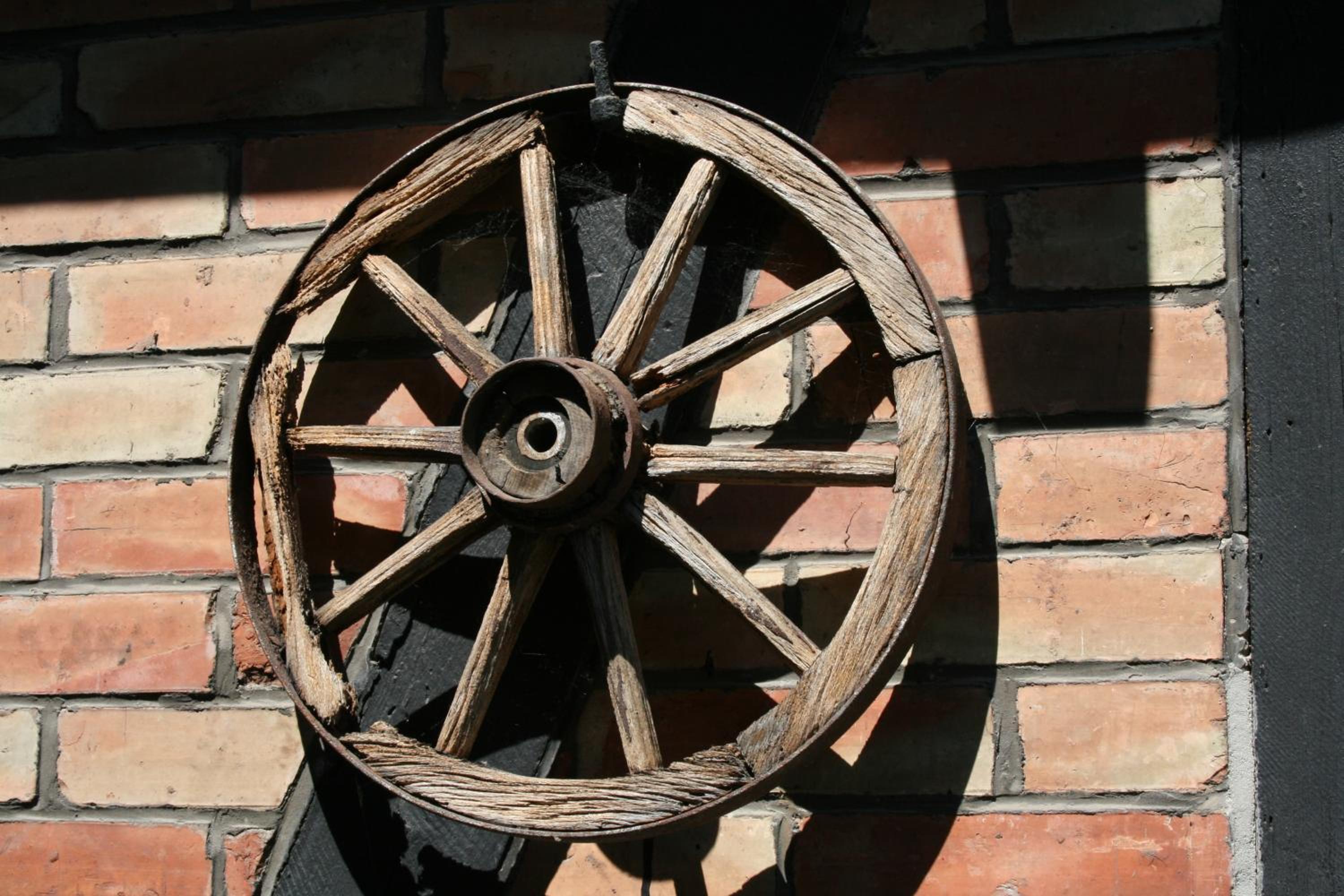 Photo 8