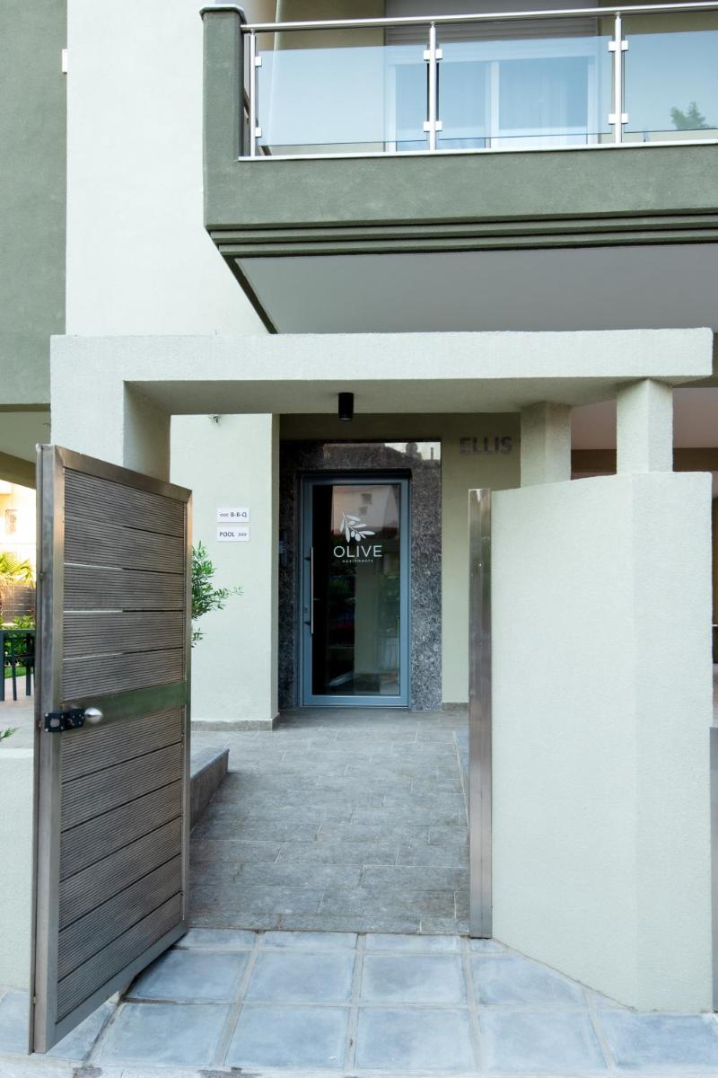 OLIVE 301 photo 5