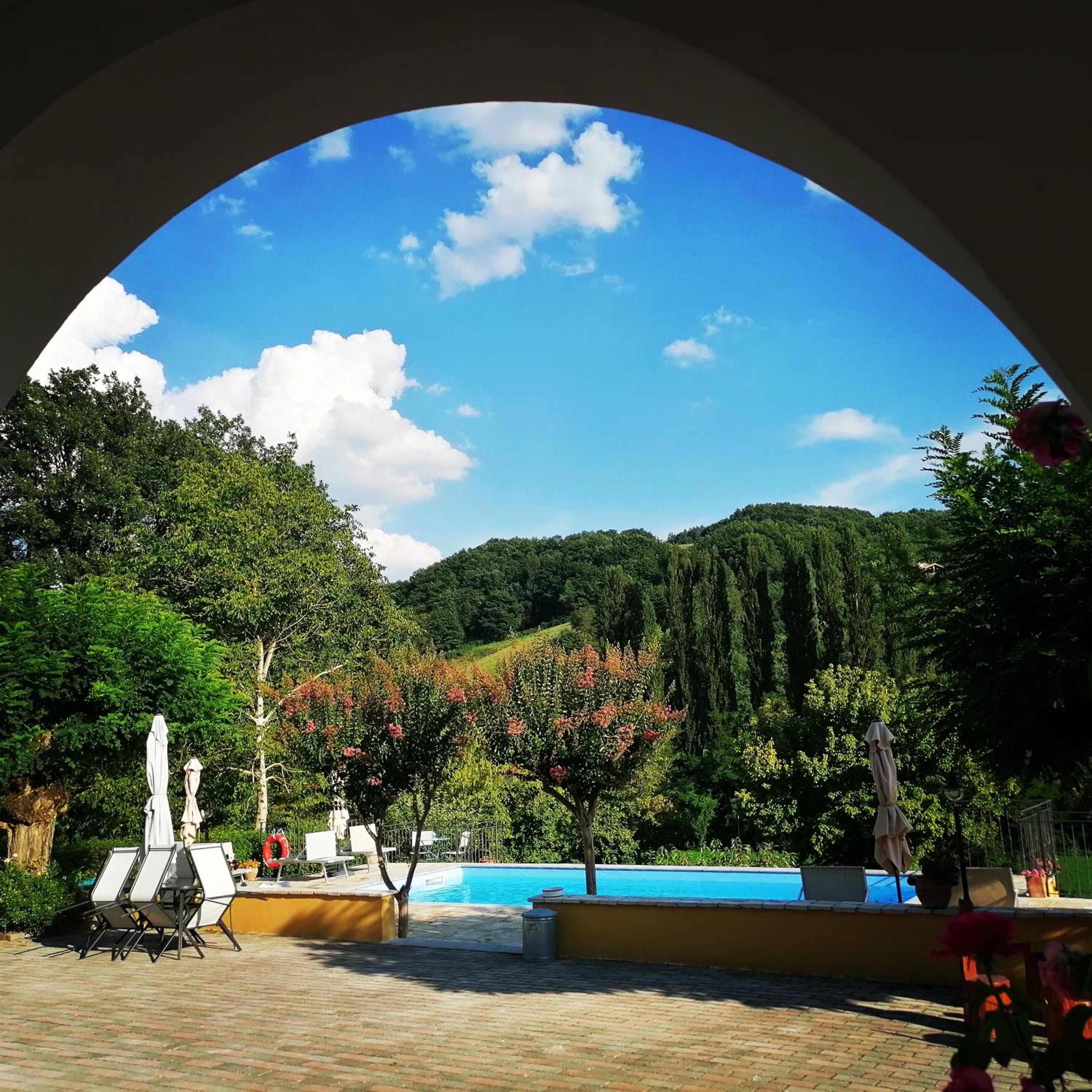 Photo 6