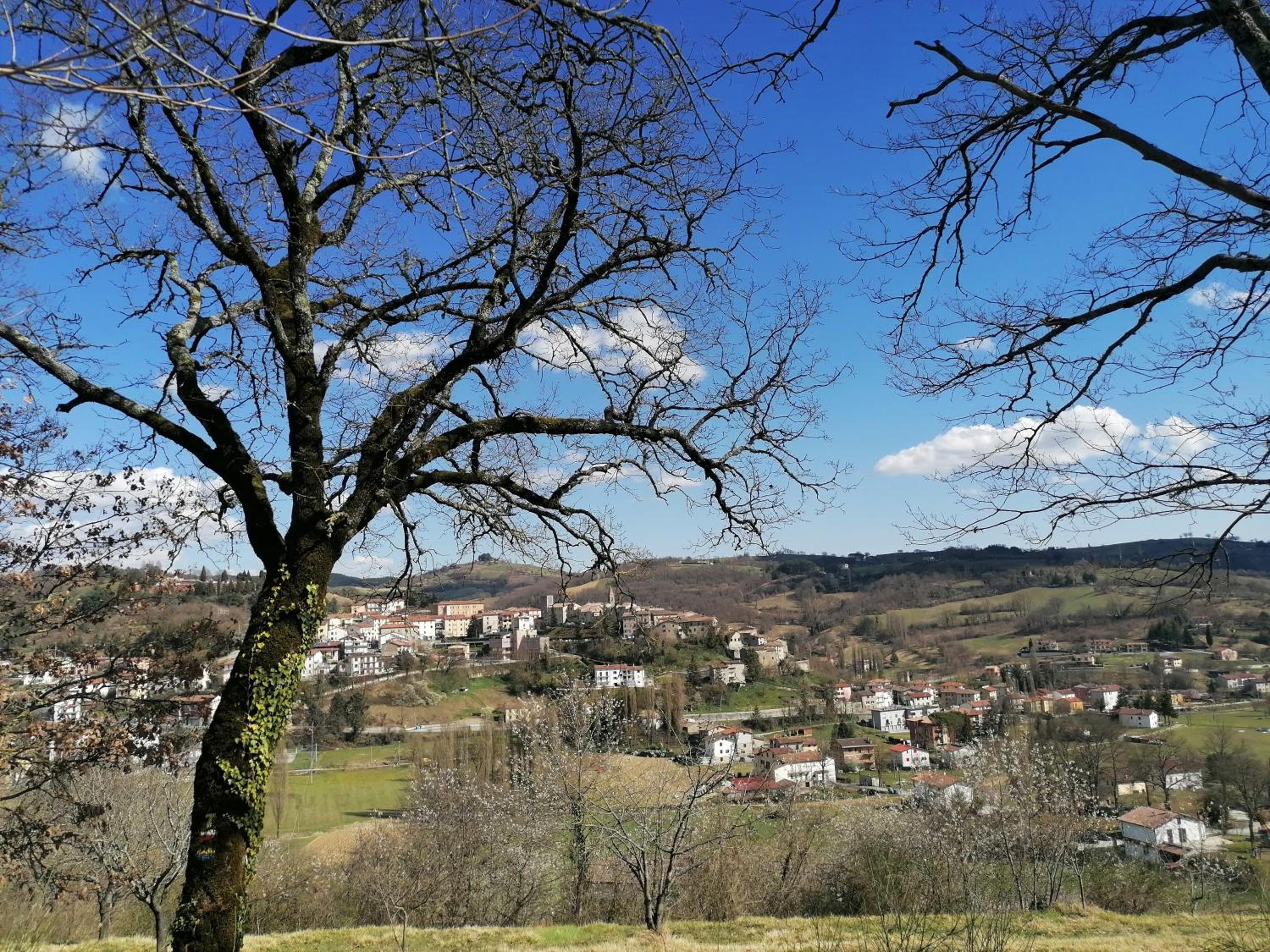 B&B VILLA GINEVRA view 3