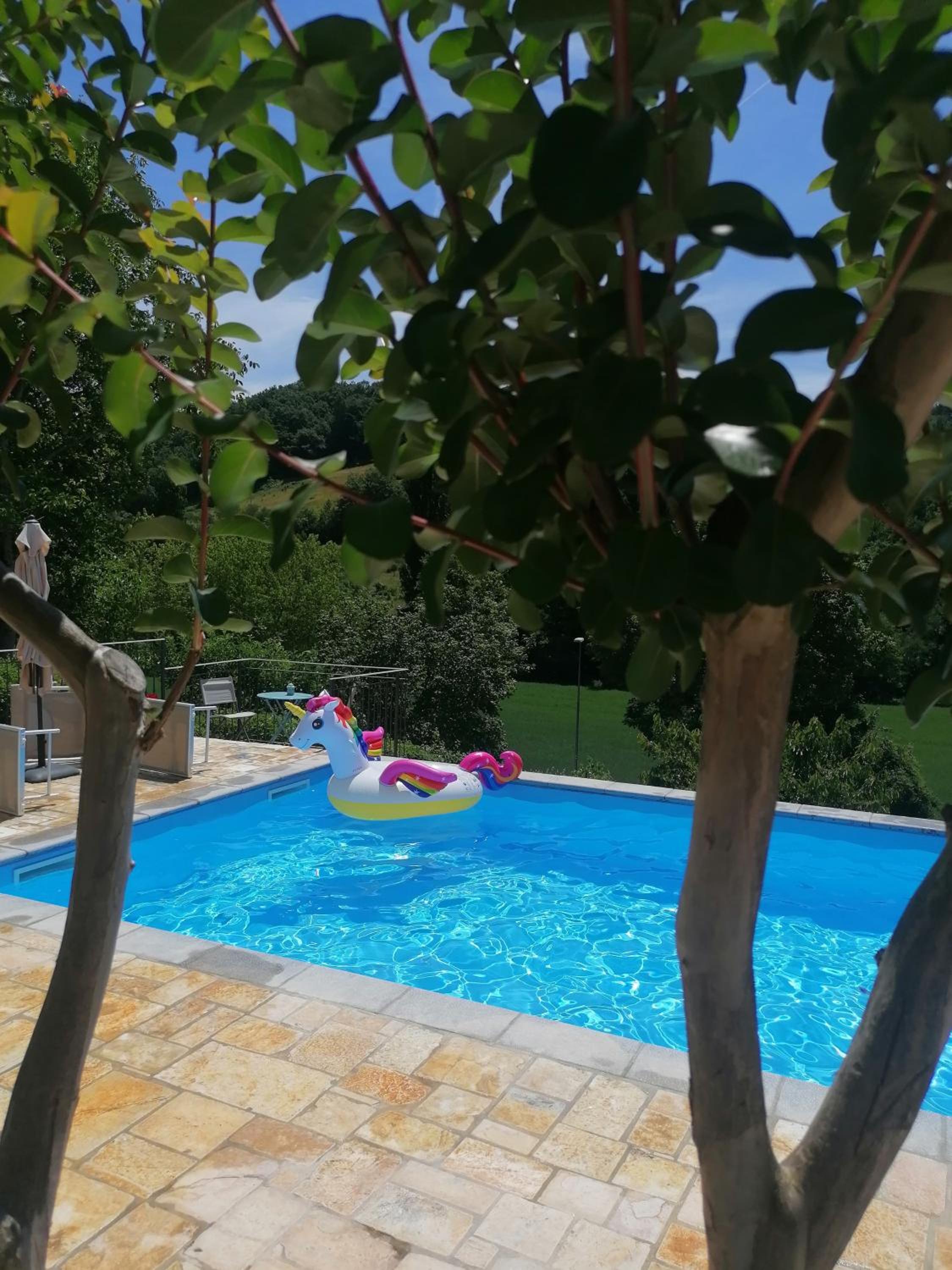 B&B VILLA GINEVRA view 5