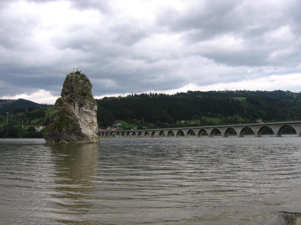 Photo 46