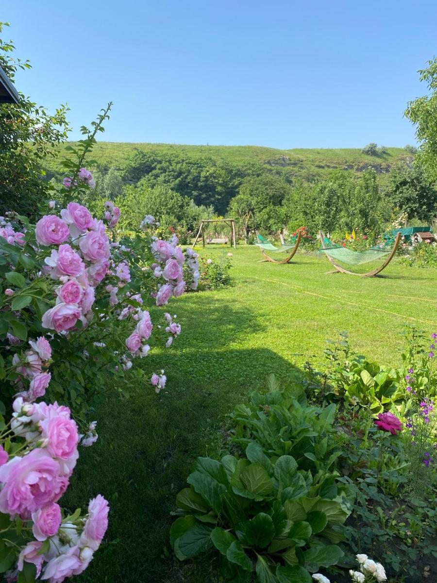 Vila Roz view 3