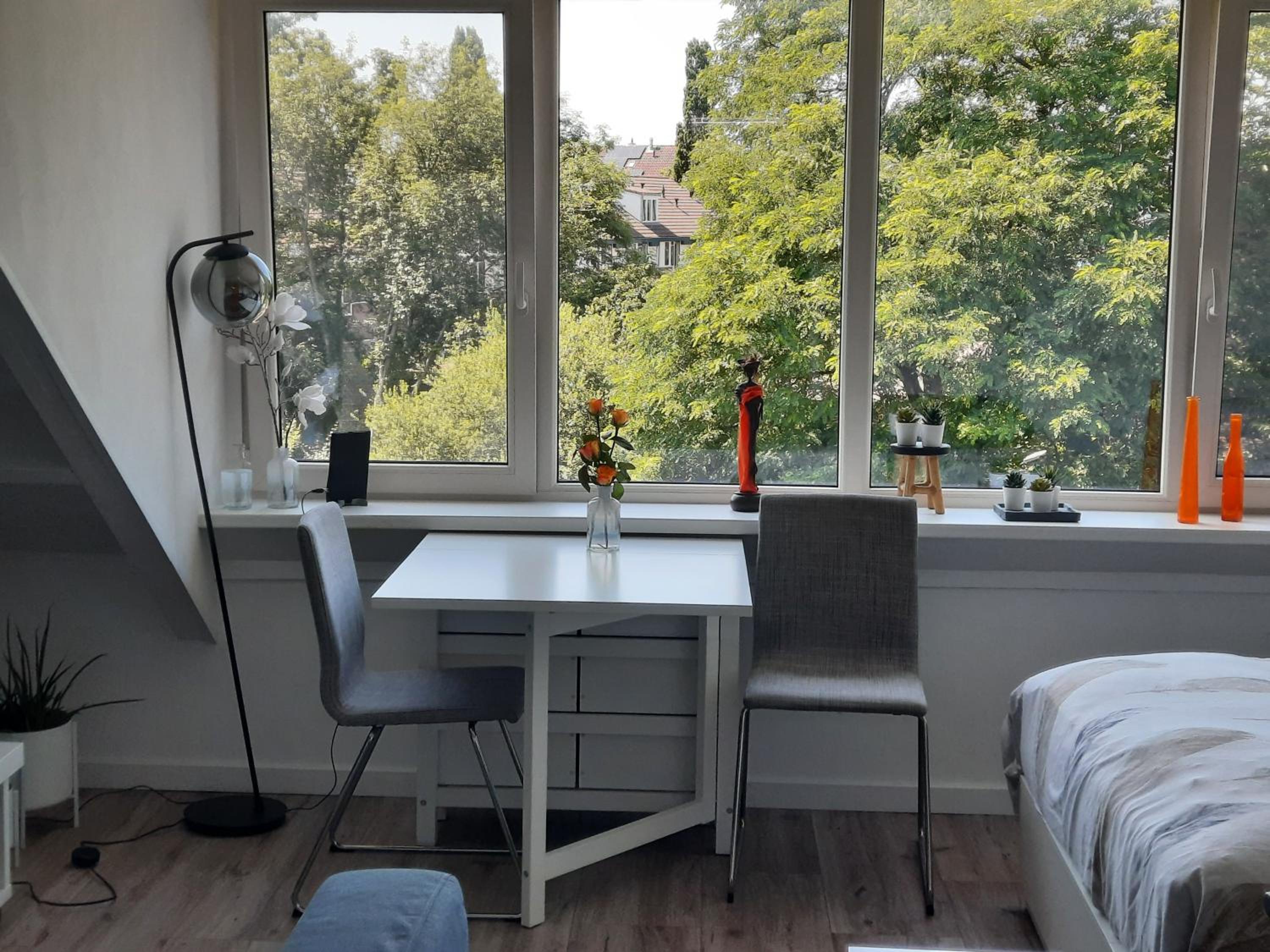 Studio 76 Groningen met gratis leenfietsen view 5
