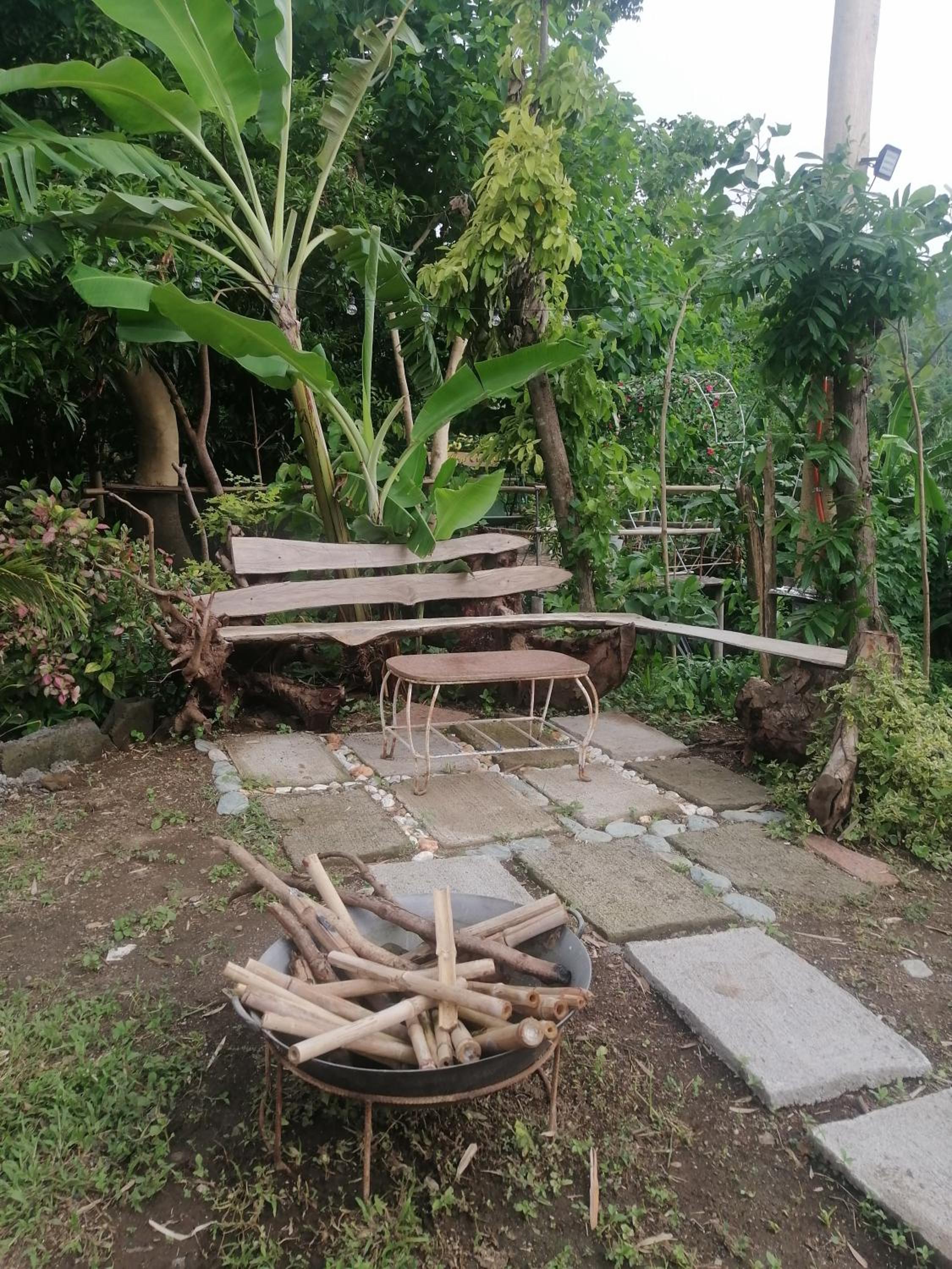 Photo 12