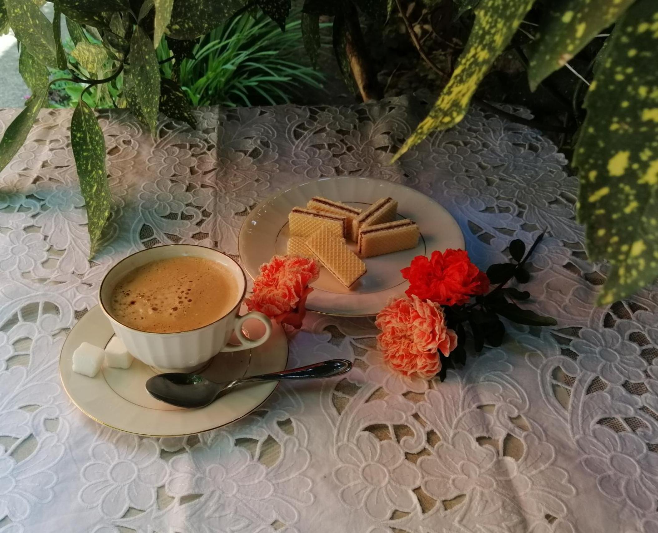 Photo 27