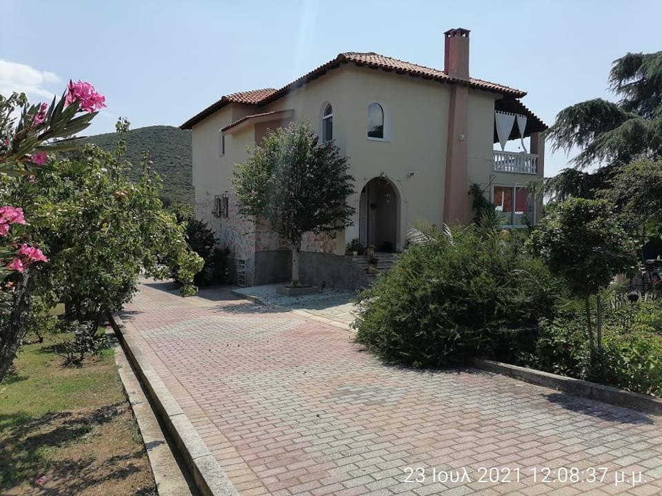 Elena's Green House