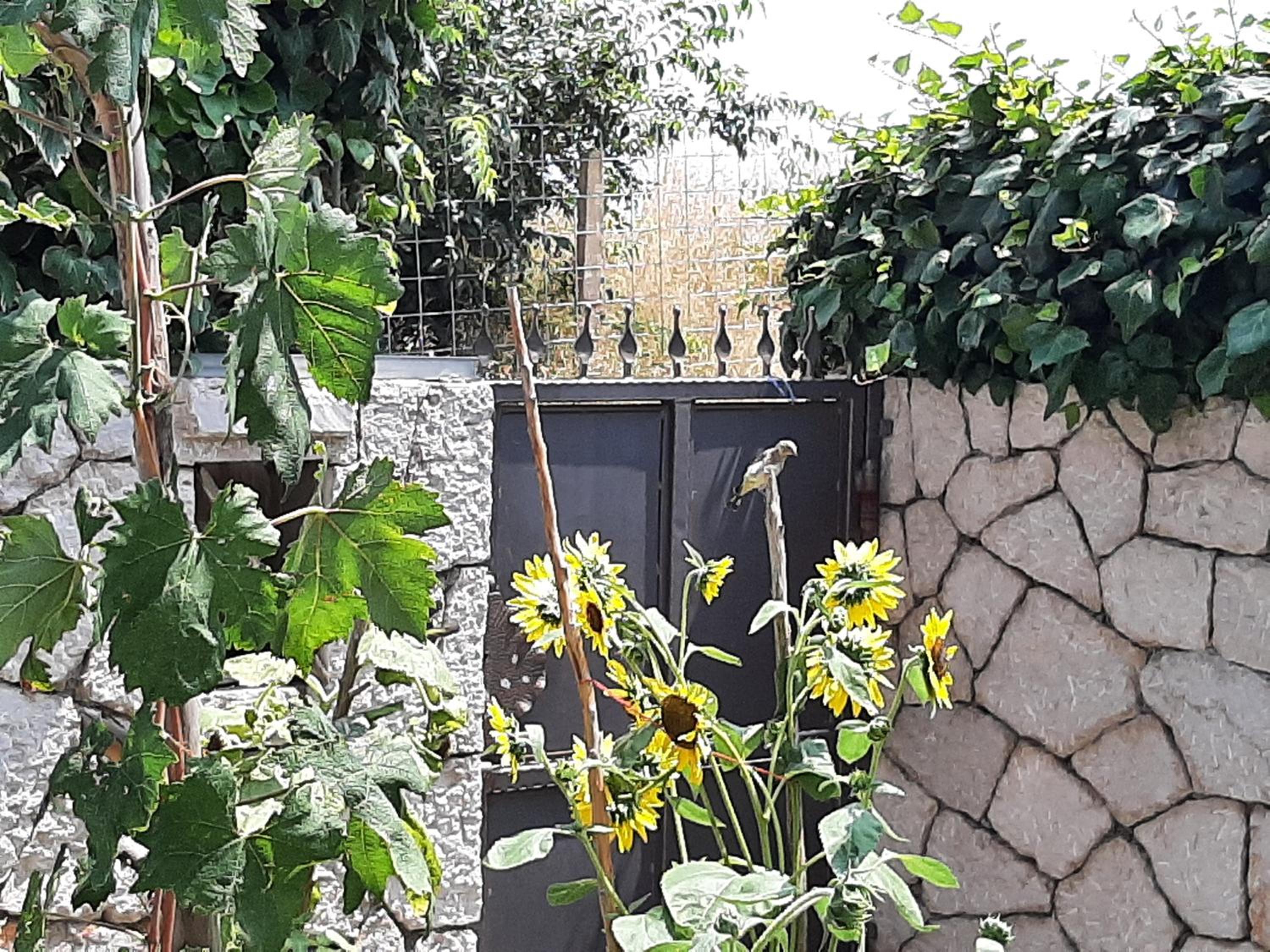 Apartment Nepe