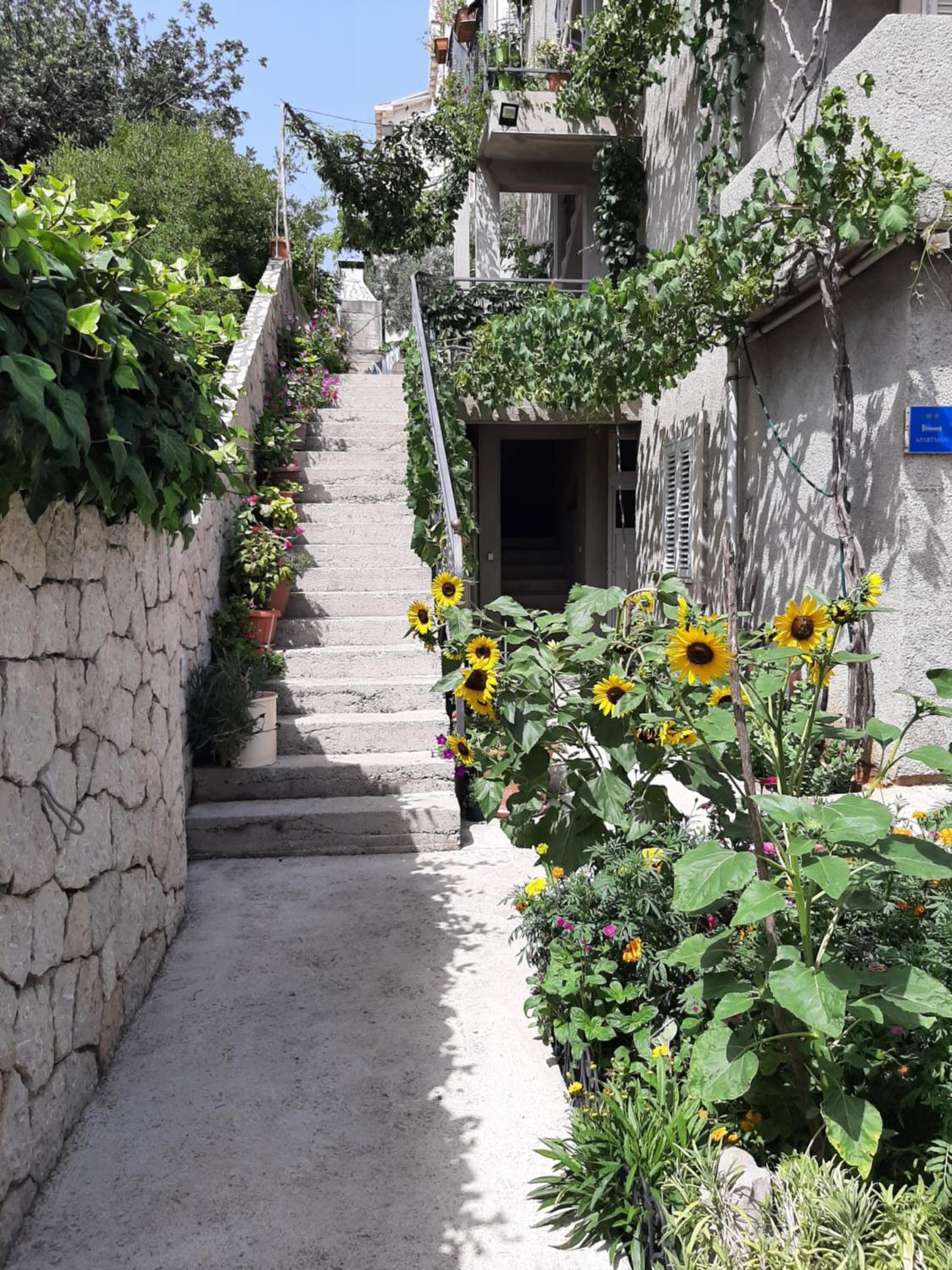 Apartment Nepe